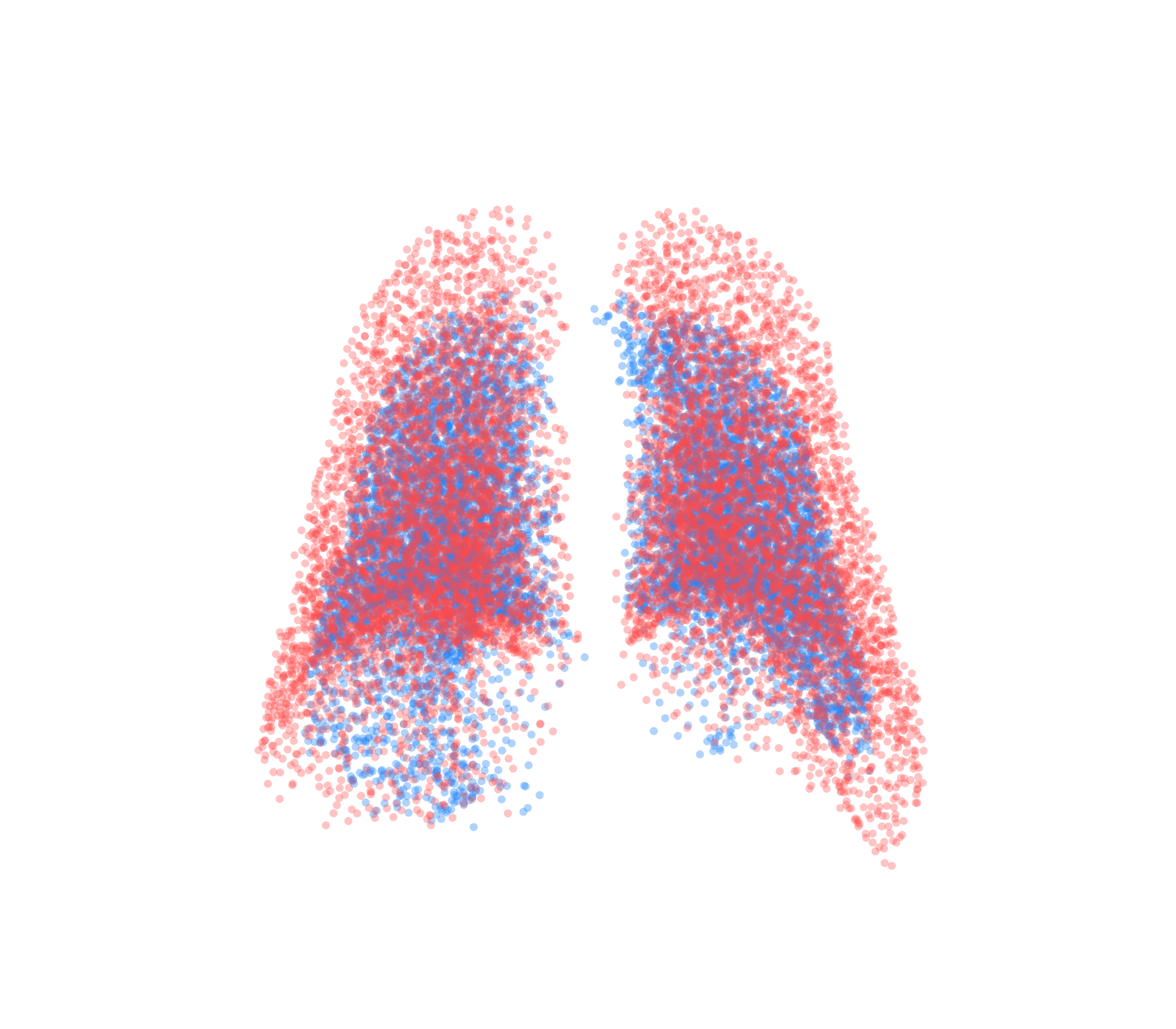Point Cloud - Back View