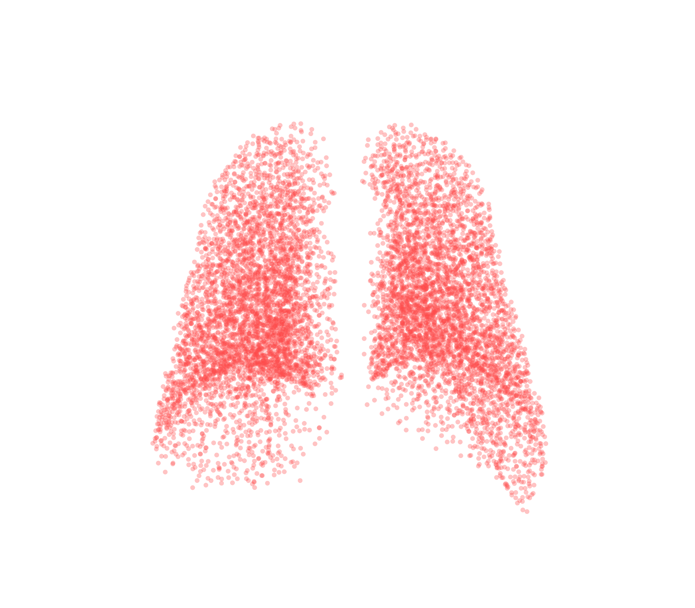 Point Cloud (Expiration) - Back View