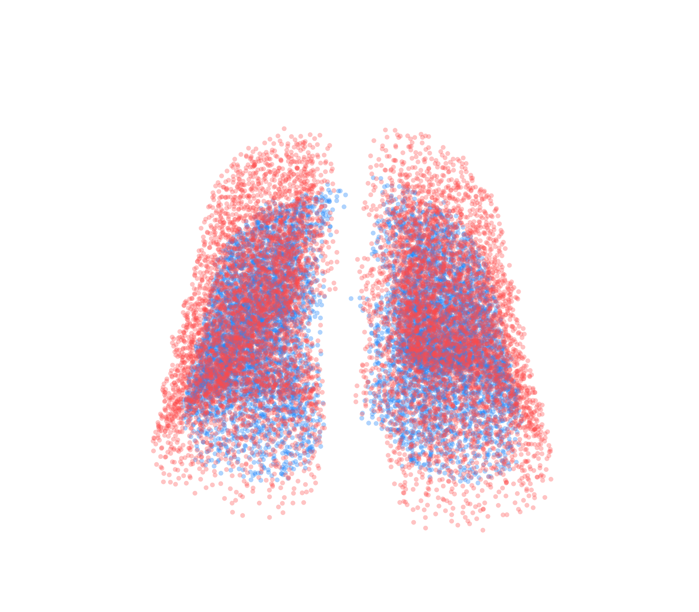 Point Cloud - Front View