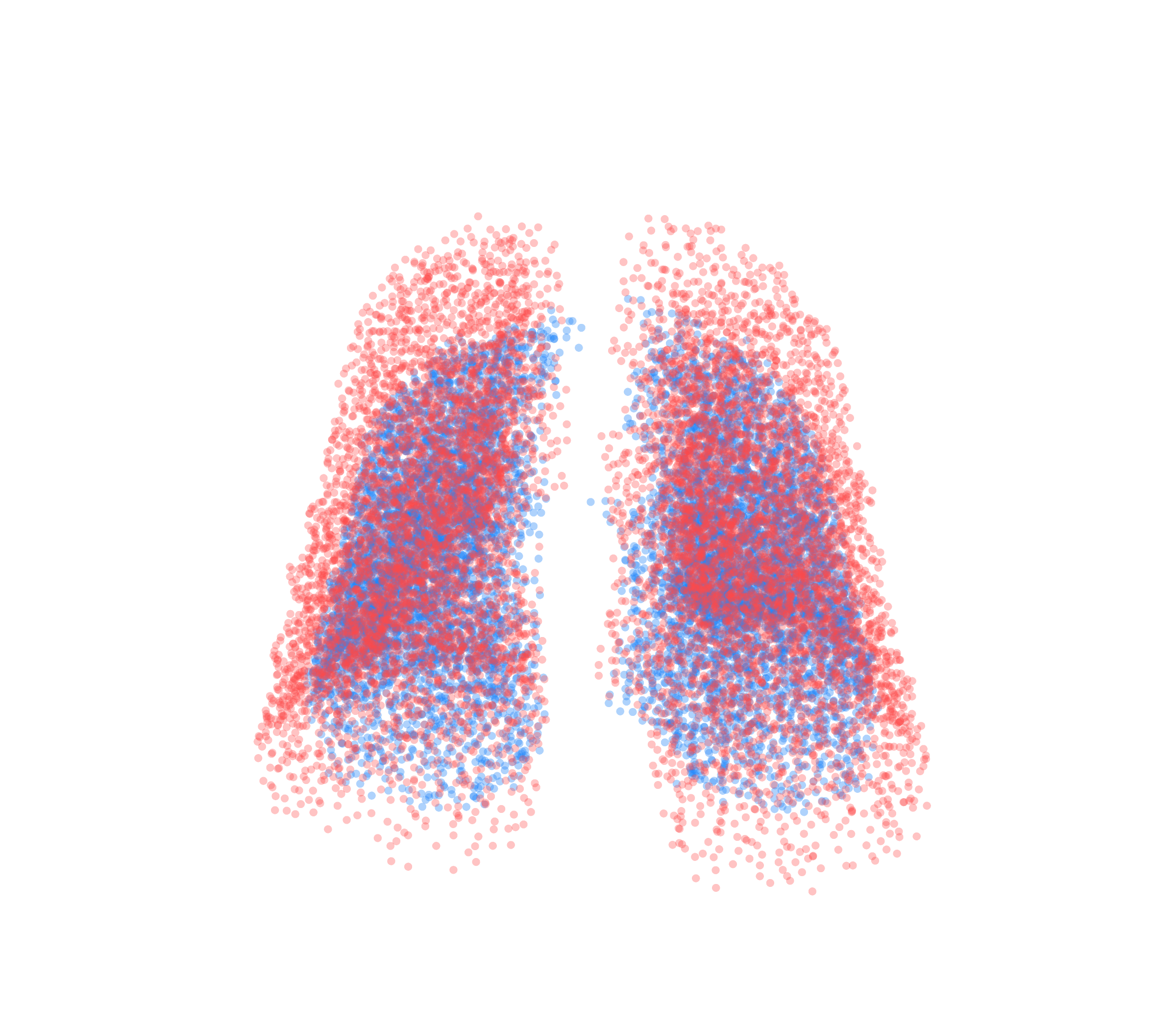 Point Cloud - Front View