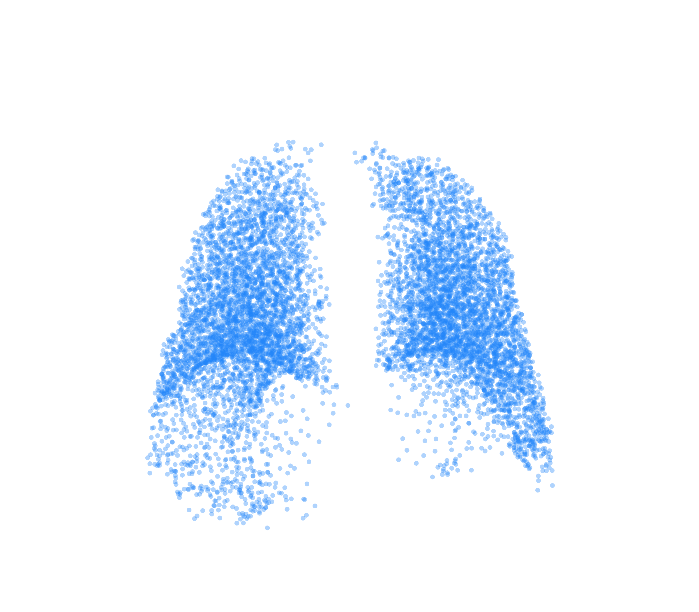 Point Cloud (Inspiration) - Back View