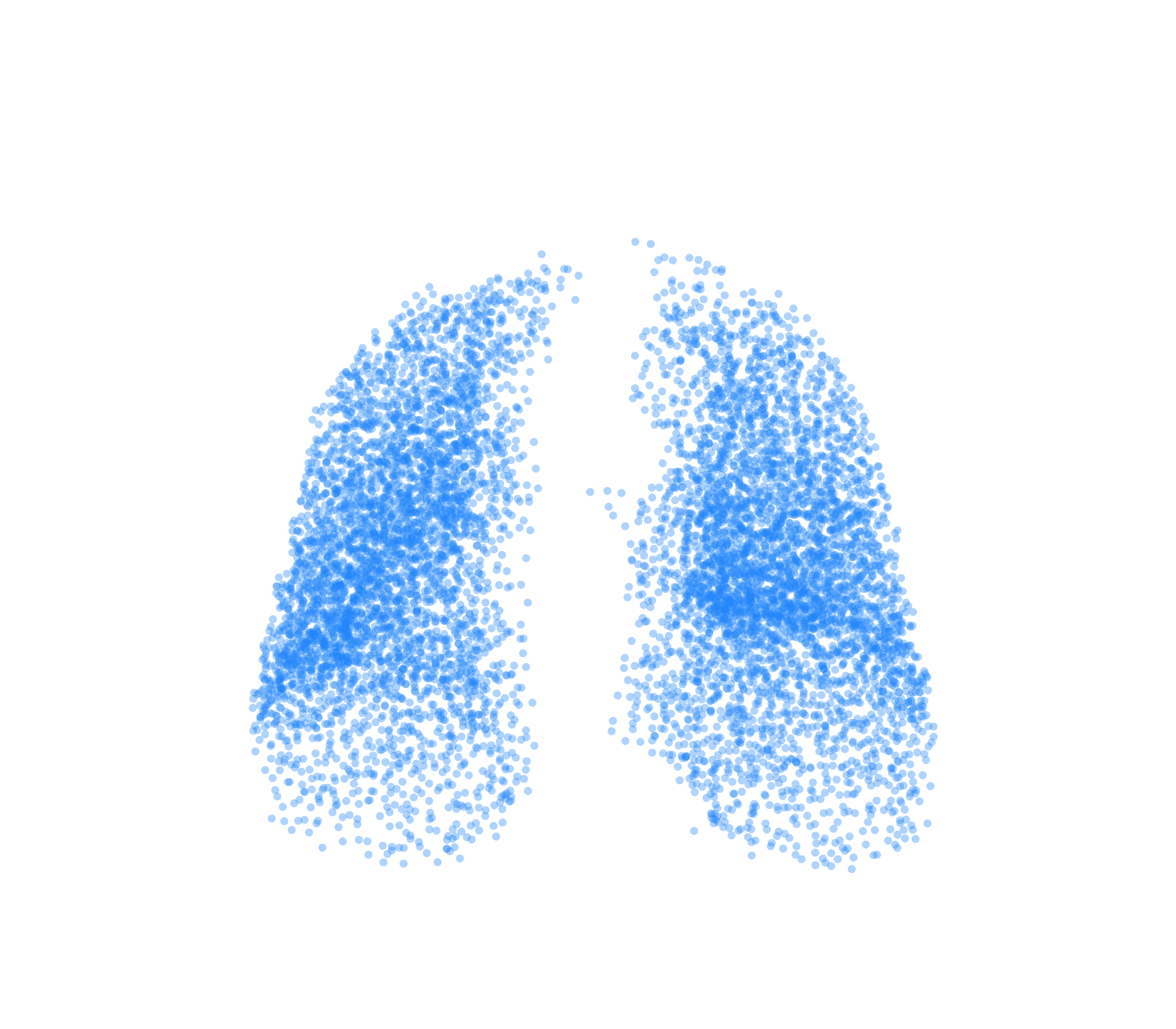 Point Cloud (Inspiration) - Front View