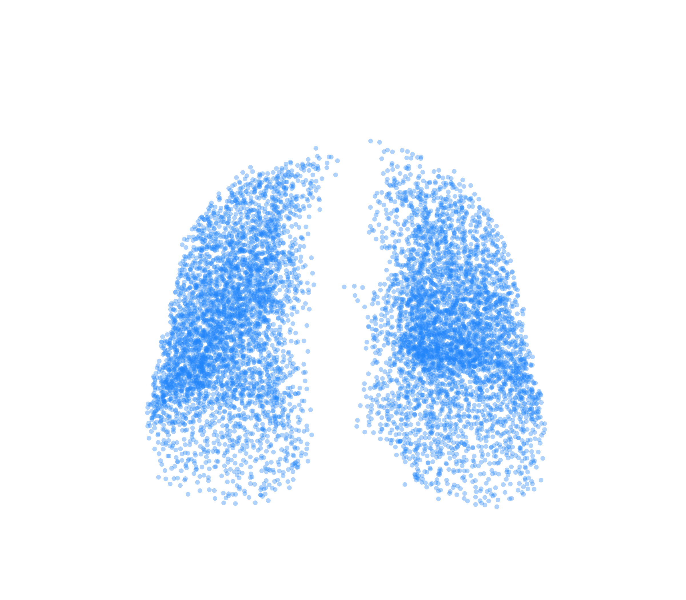 Point Cloud (Inspiration) - Front View