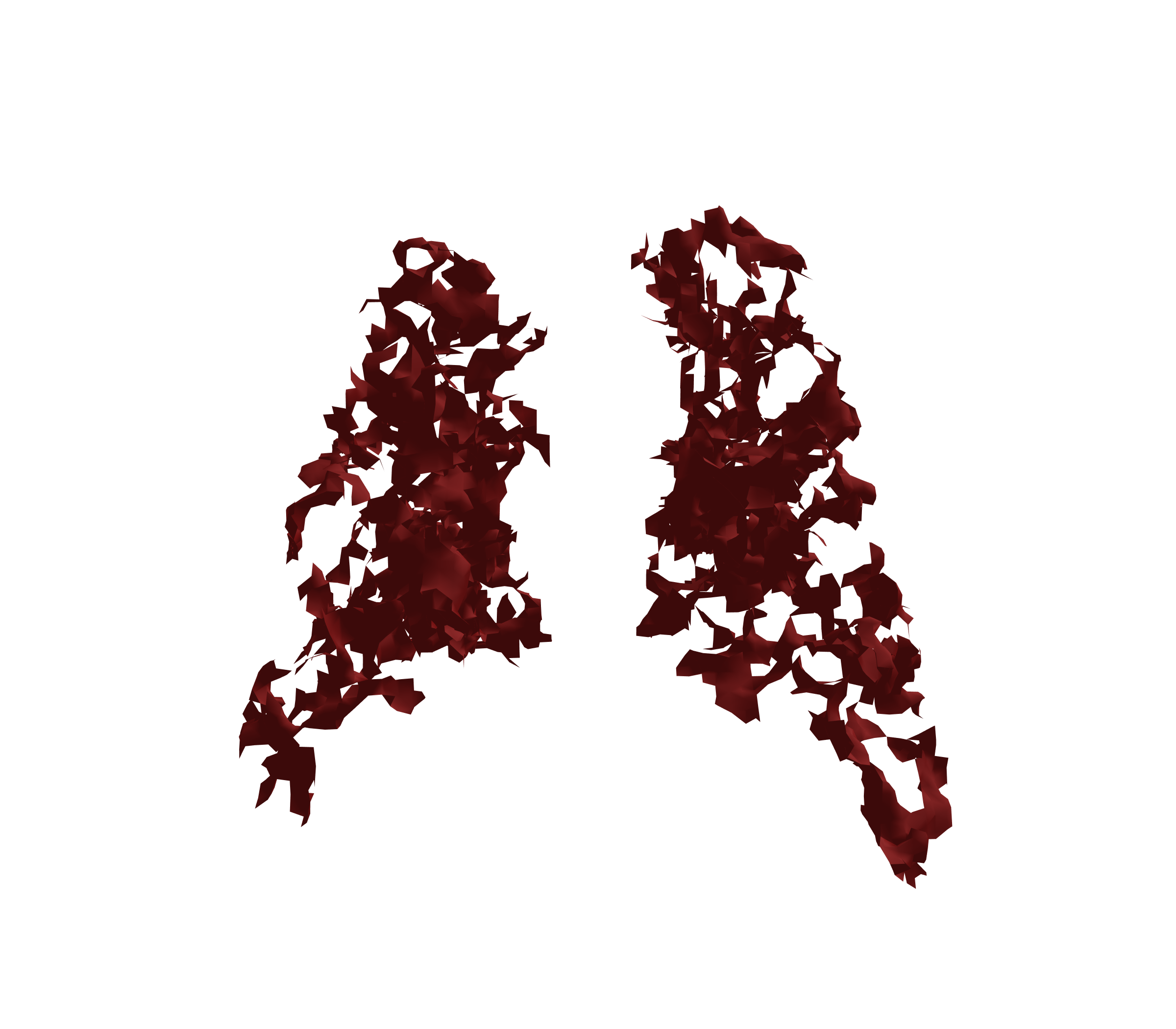 Surface Mesh (Expiration) - Back View