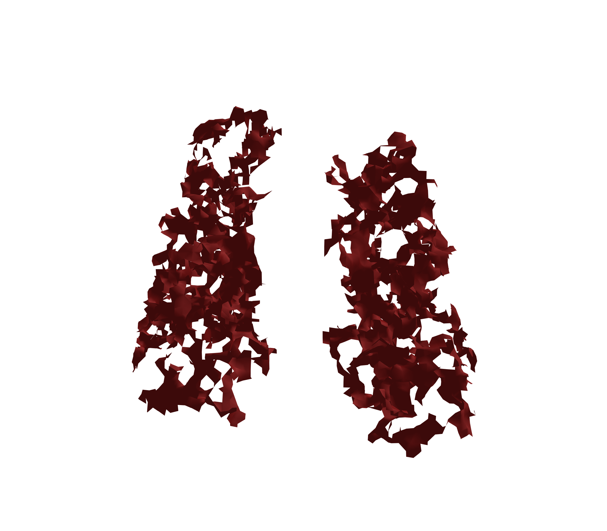 Surface Mesh (Expiration) - Front View