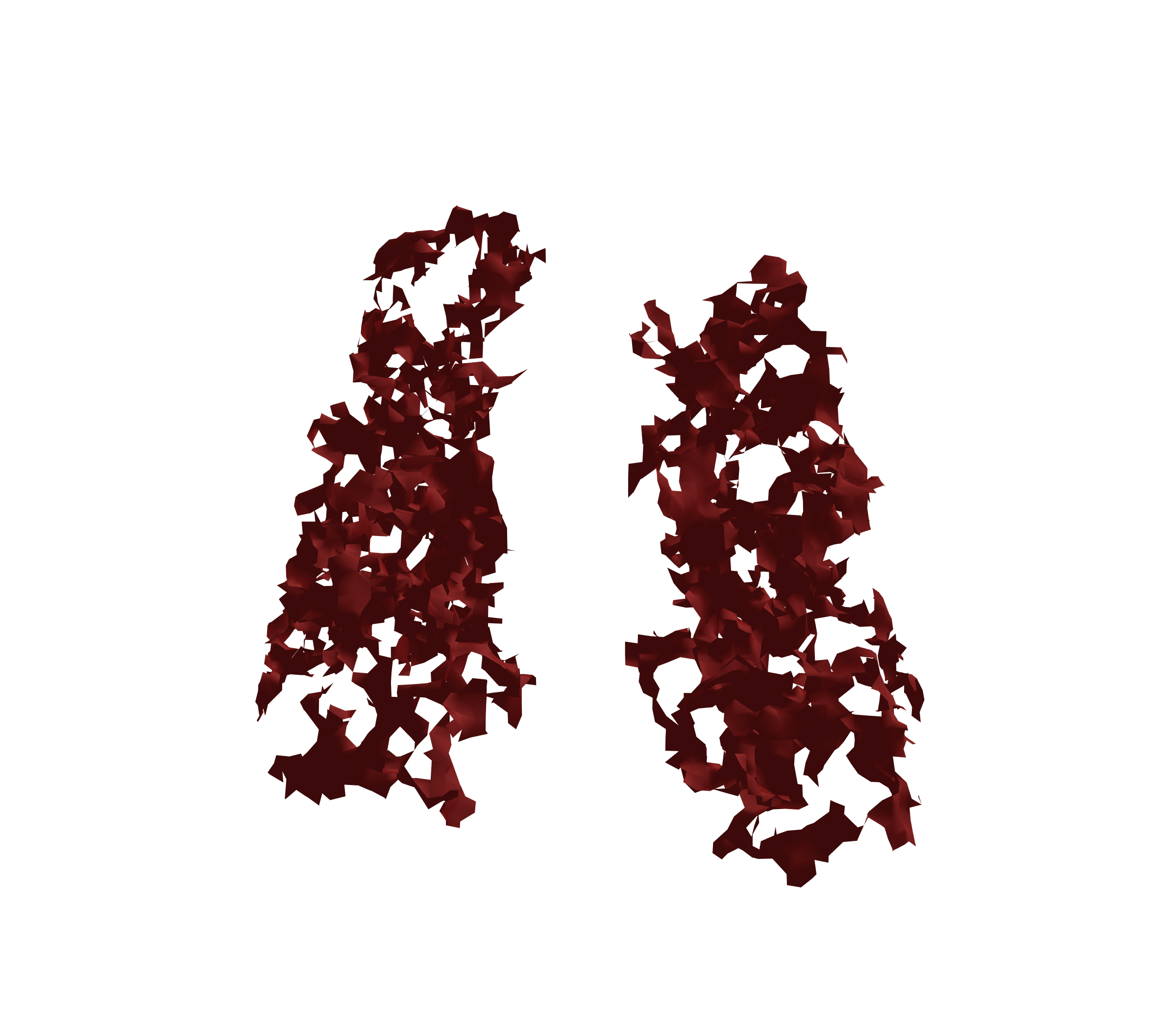 Surface Mesh (Expiration) - Front View