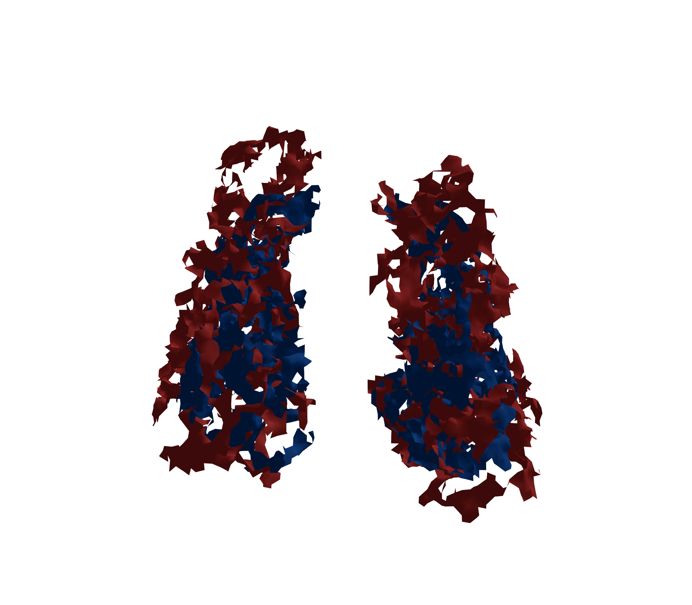 Surface Mesh - Front View