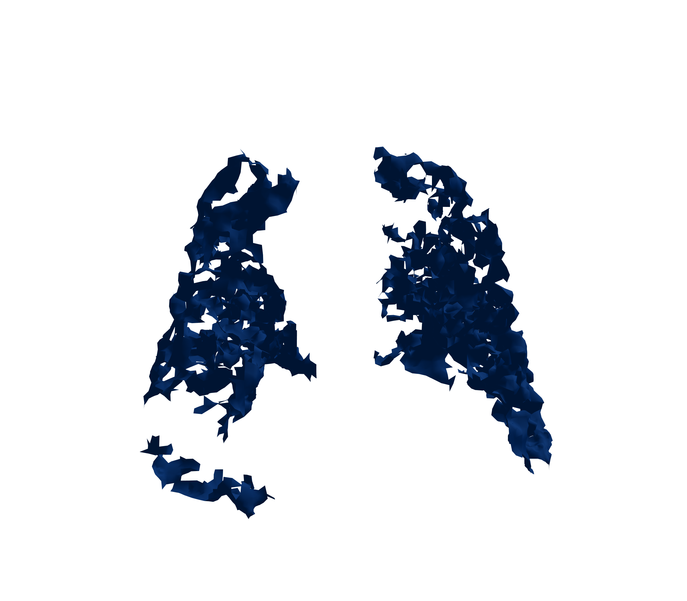 Surface Mesh (Inspiration) - Back View