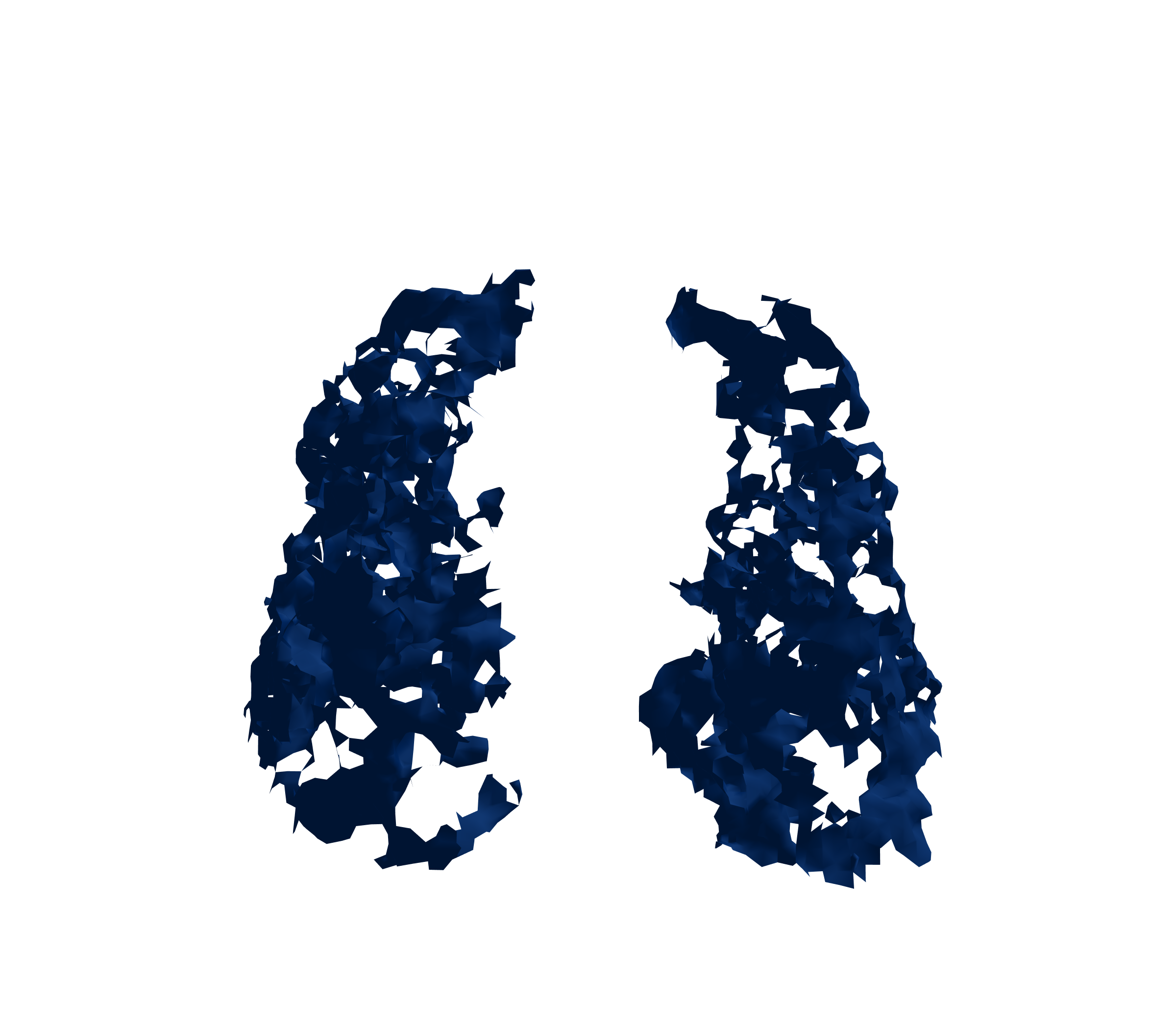 Surface Mesh (Inspiration) - Front View