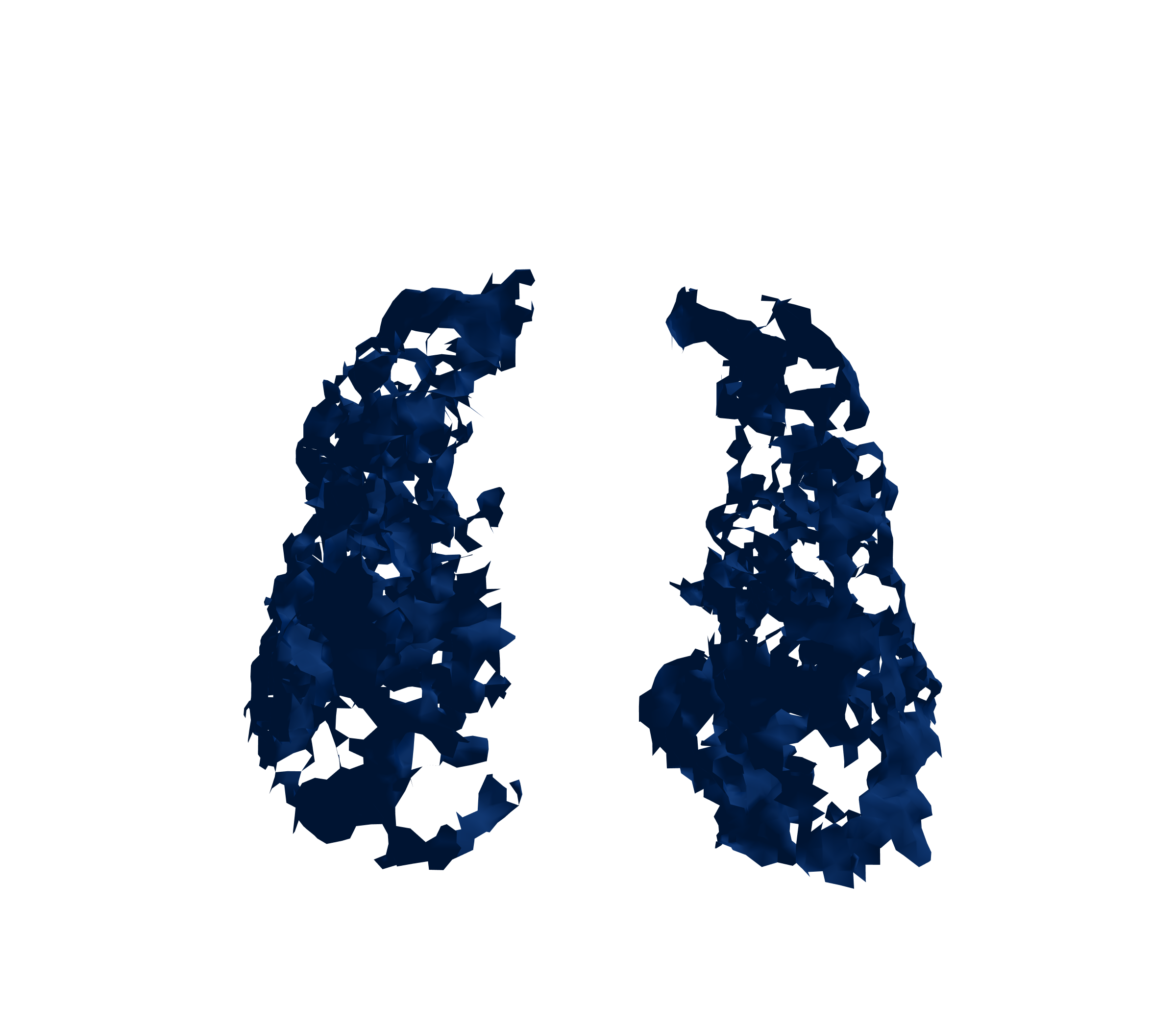 Surface Mesh (Inspiration) - Front View