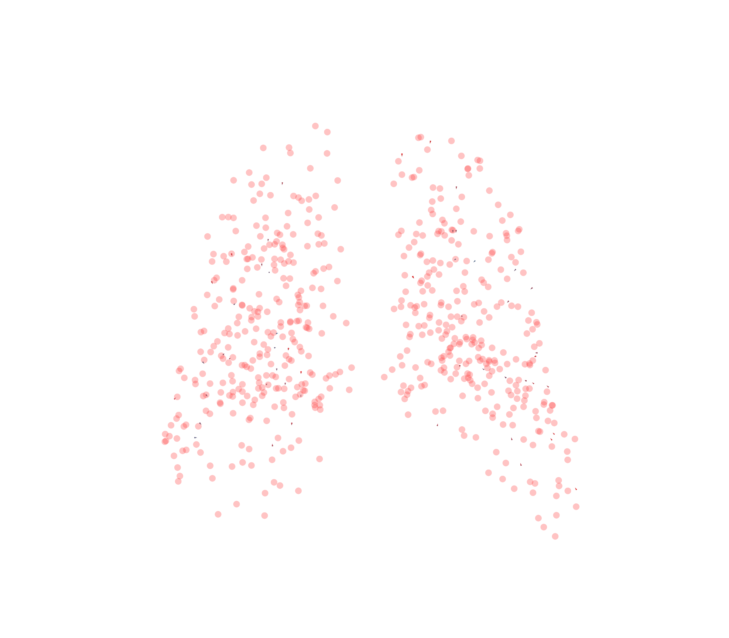 Displacement Vectors - Back View