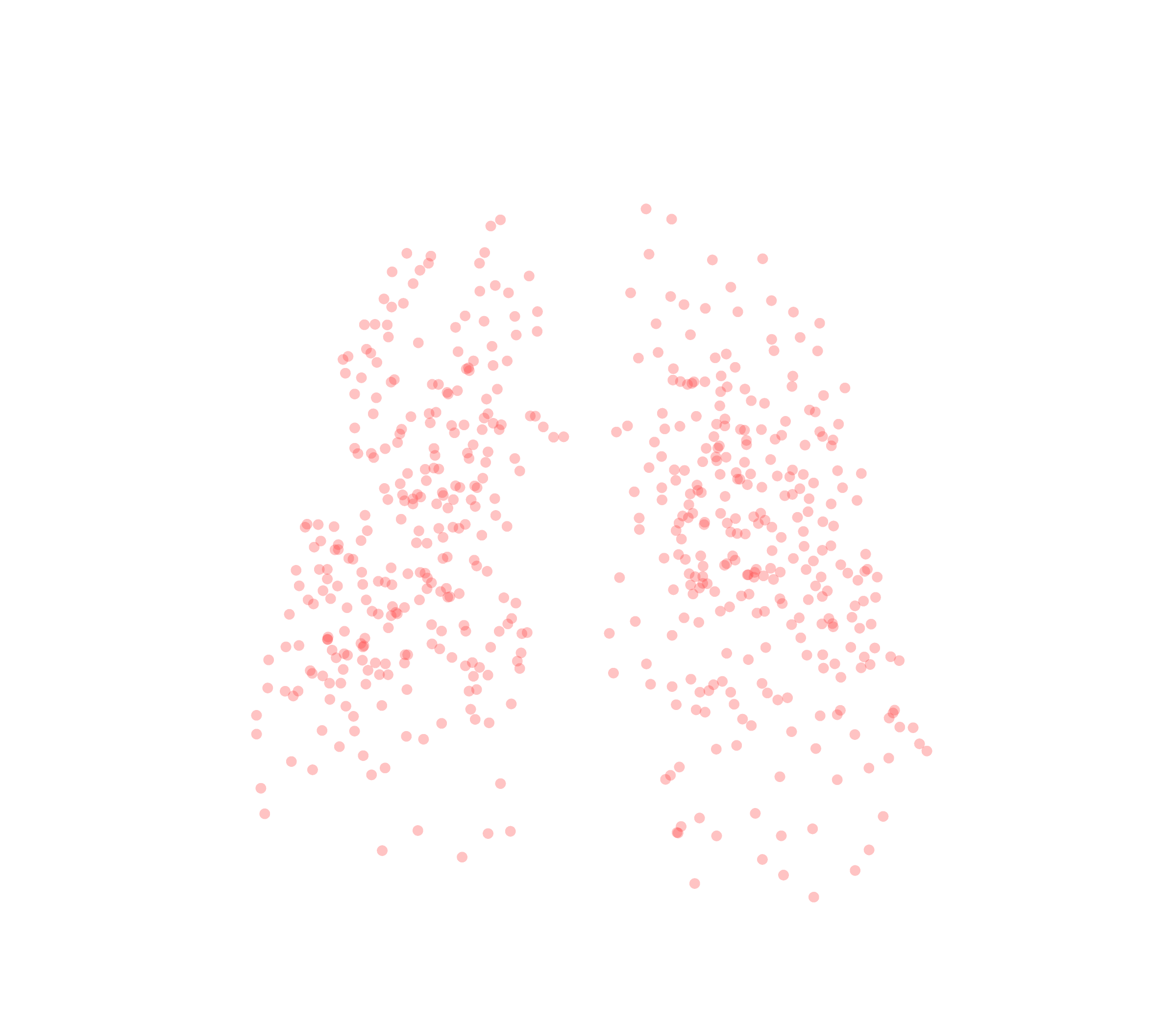 Displacement Vectors (Expiration) - Front View
