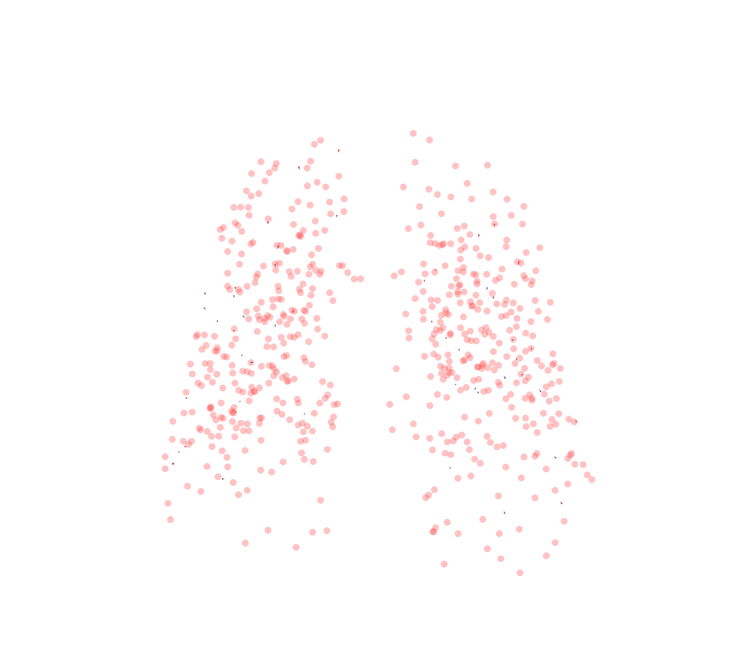 Displacement Vectors - Front View
