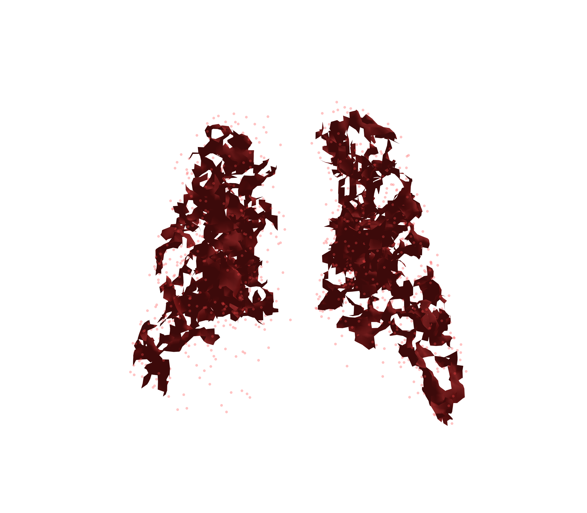 Combined Visualization (Expiration) - Back View