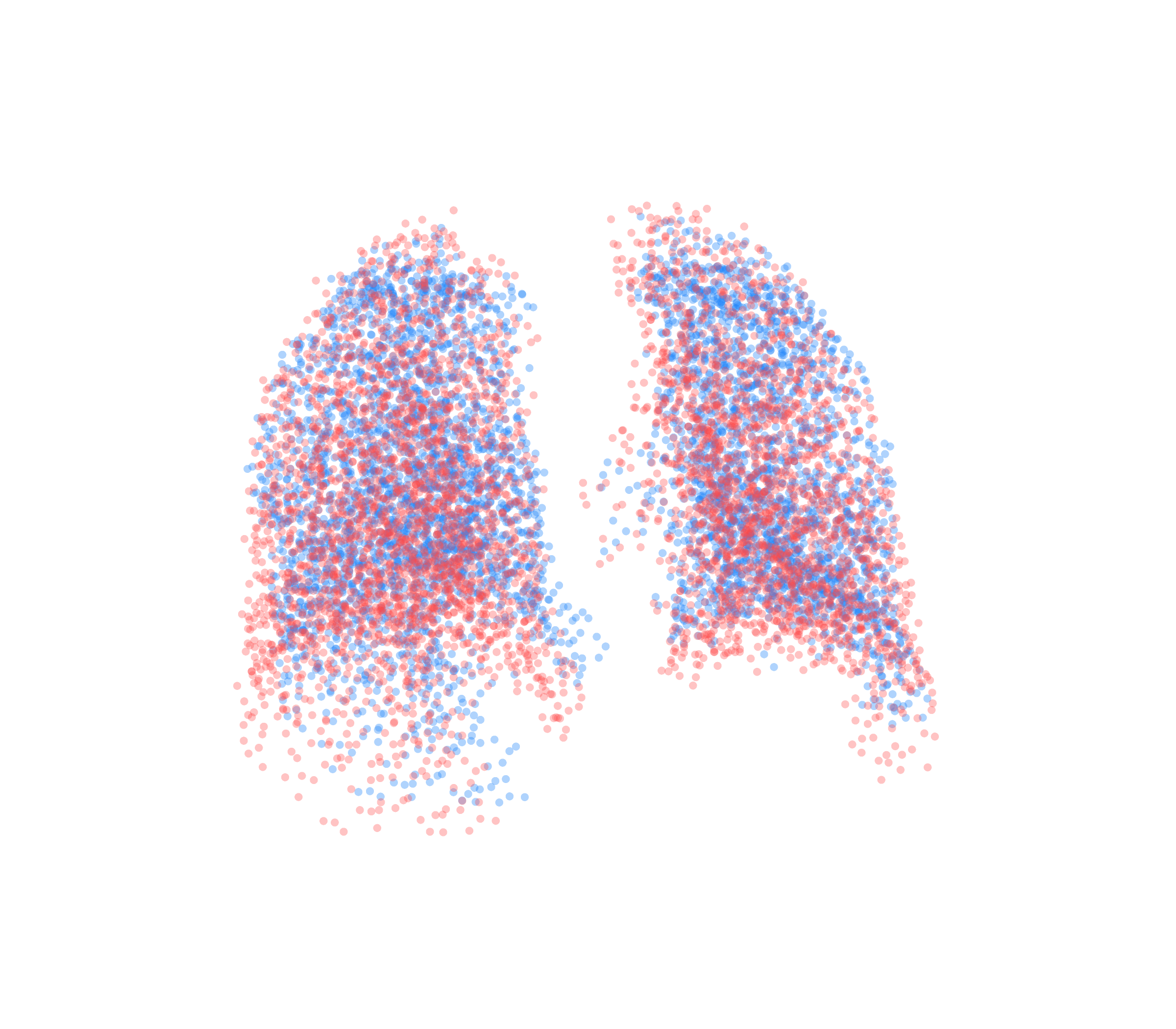 Point Cloud - Back View