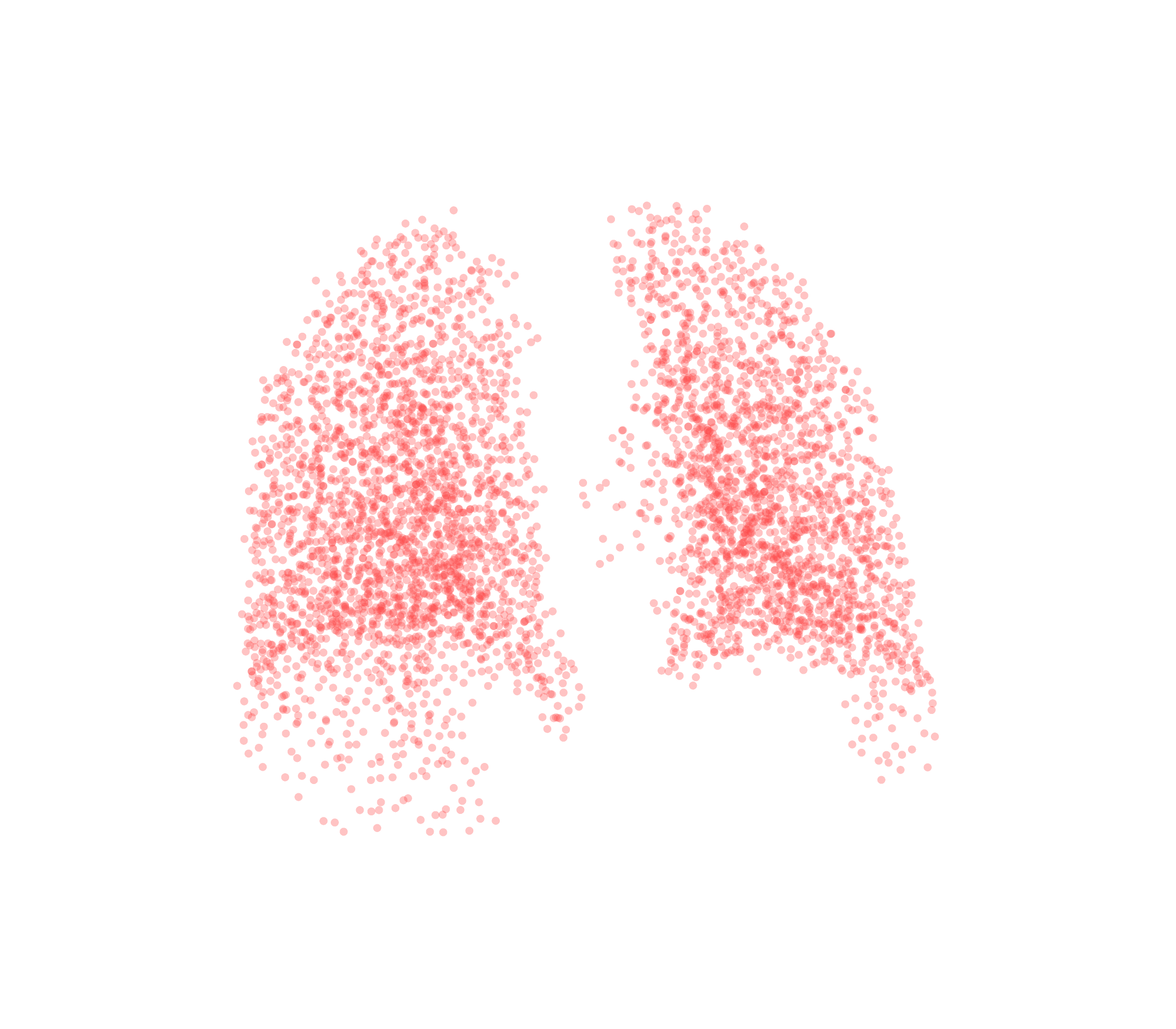 Point Cloud (Expiration) - Back View
