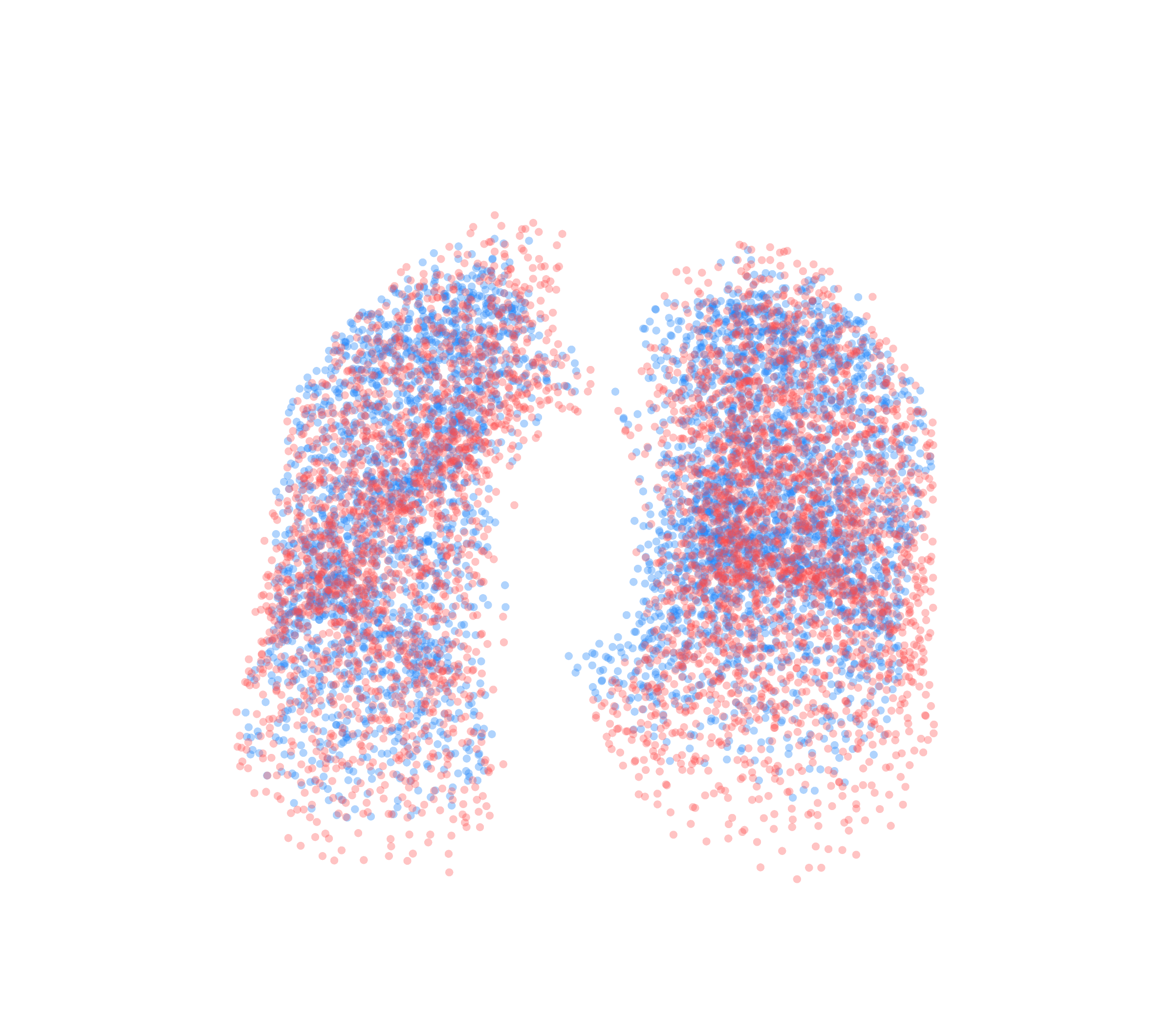 Point Cloud - Front View