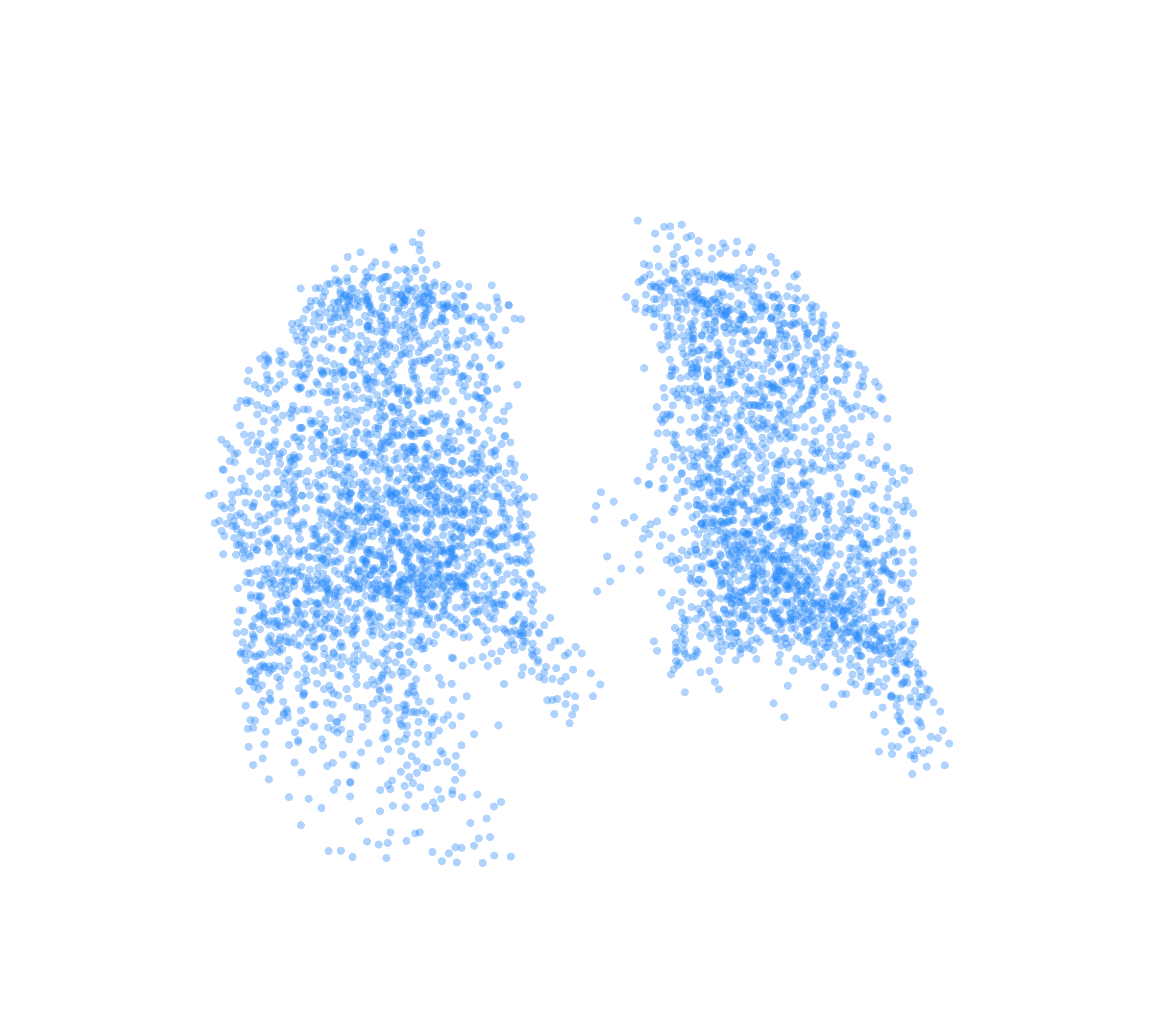 Point Cloud (Inspiration) - Back View