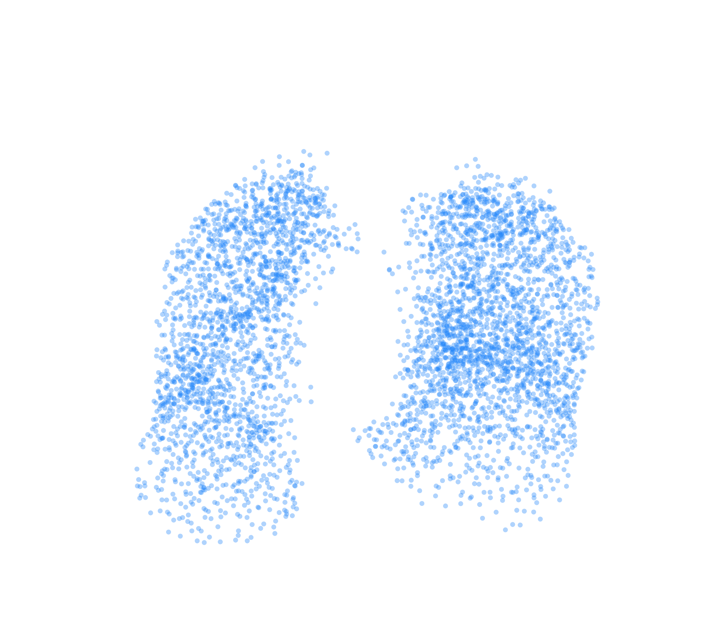 Point Cloud (Inspiration) - Front View