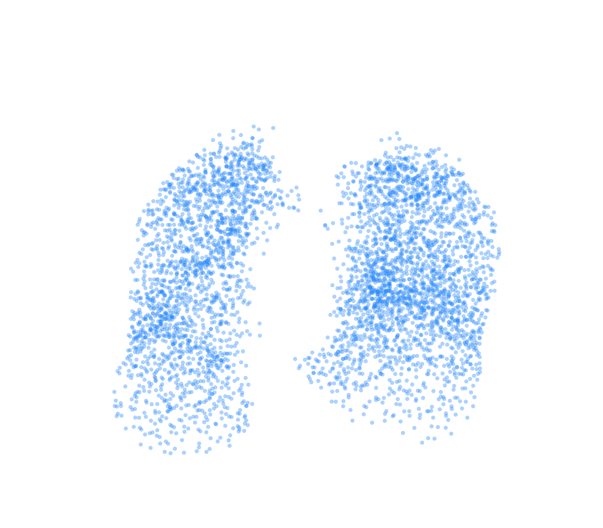 Point Cloud (Inspiration) - Front View