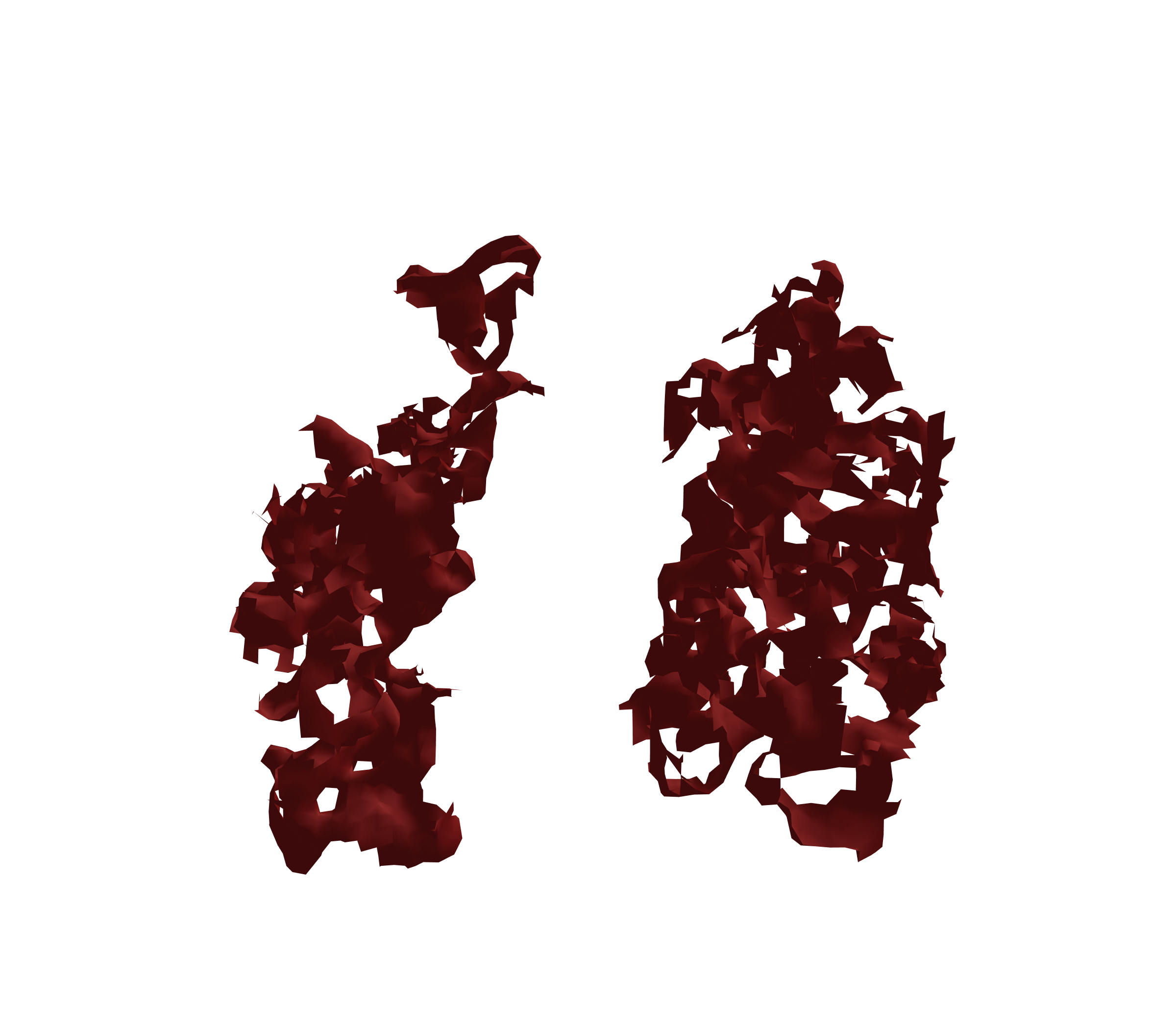 Surface Mesh (Expiration) - Front View