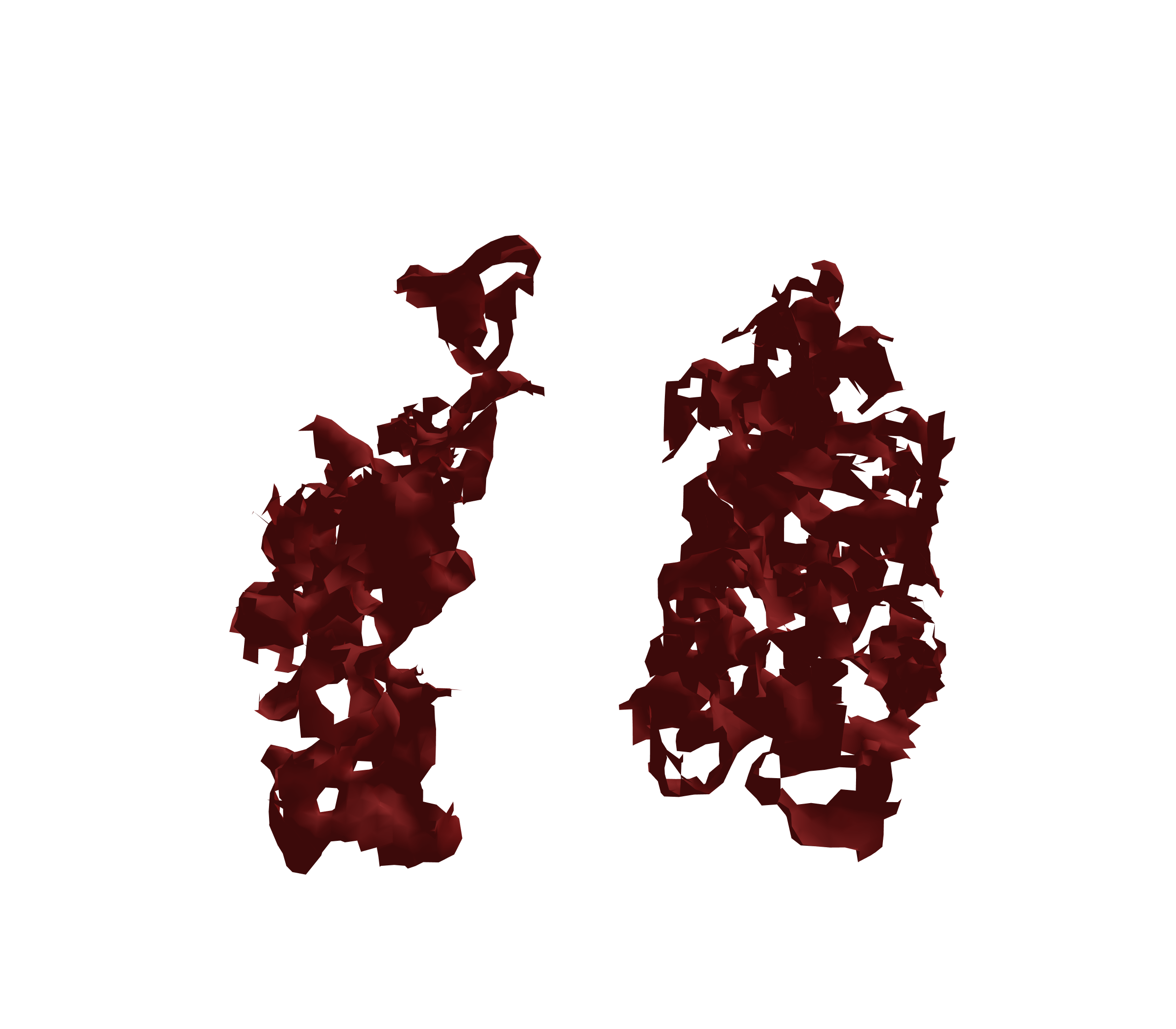 Surface Mesh (Expiration) - Front View