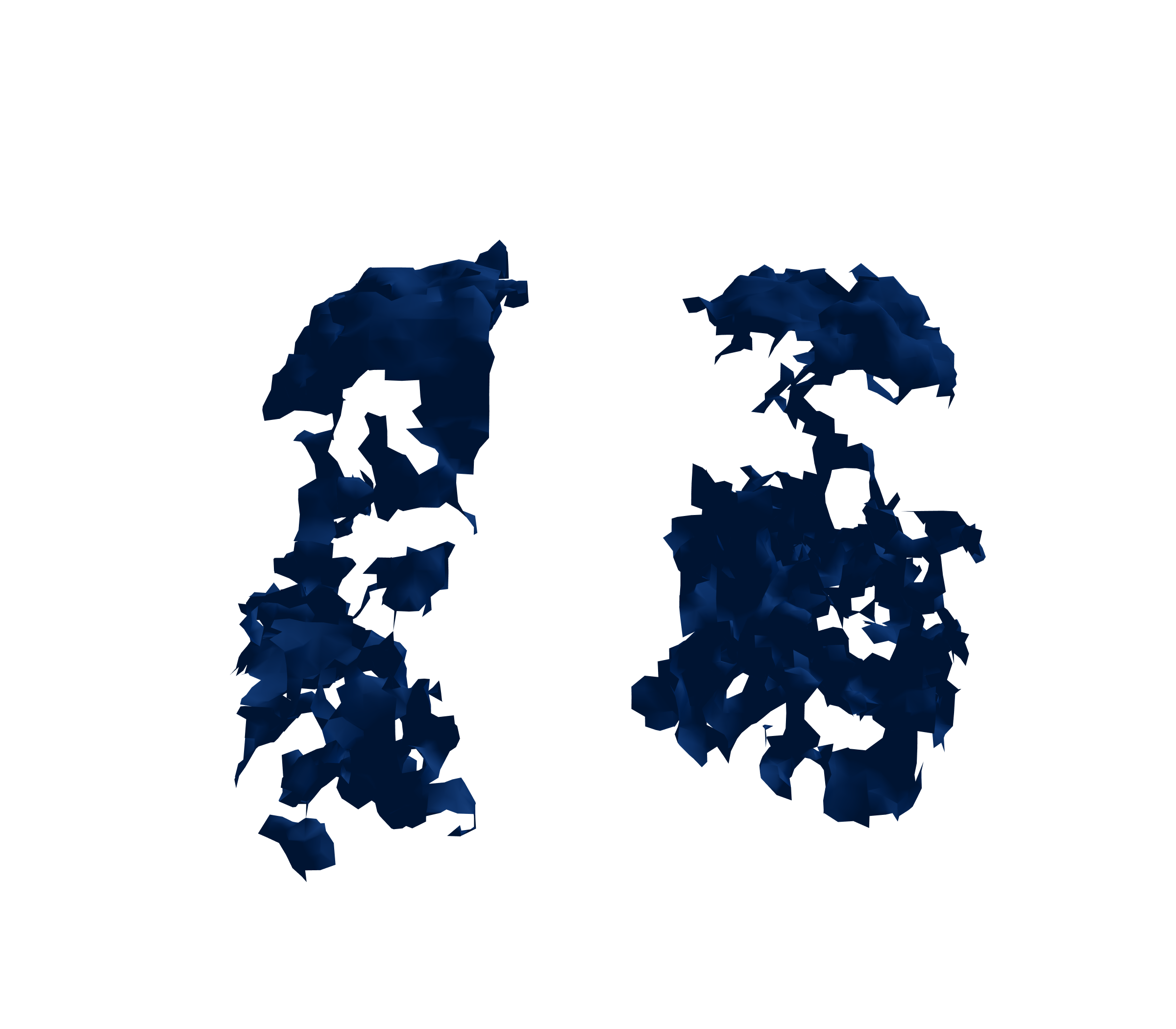 Surface Mesh (Inspiration) - Front View