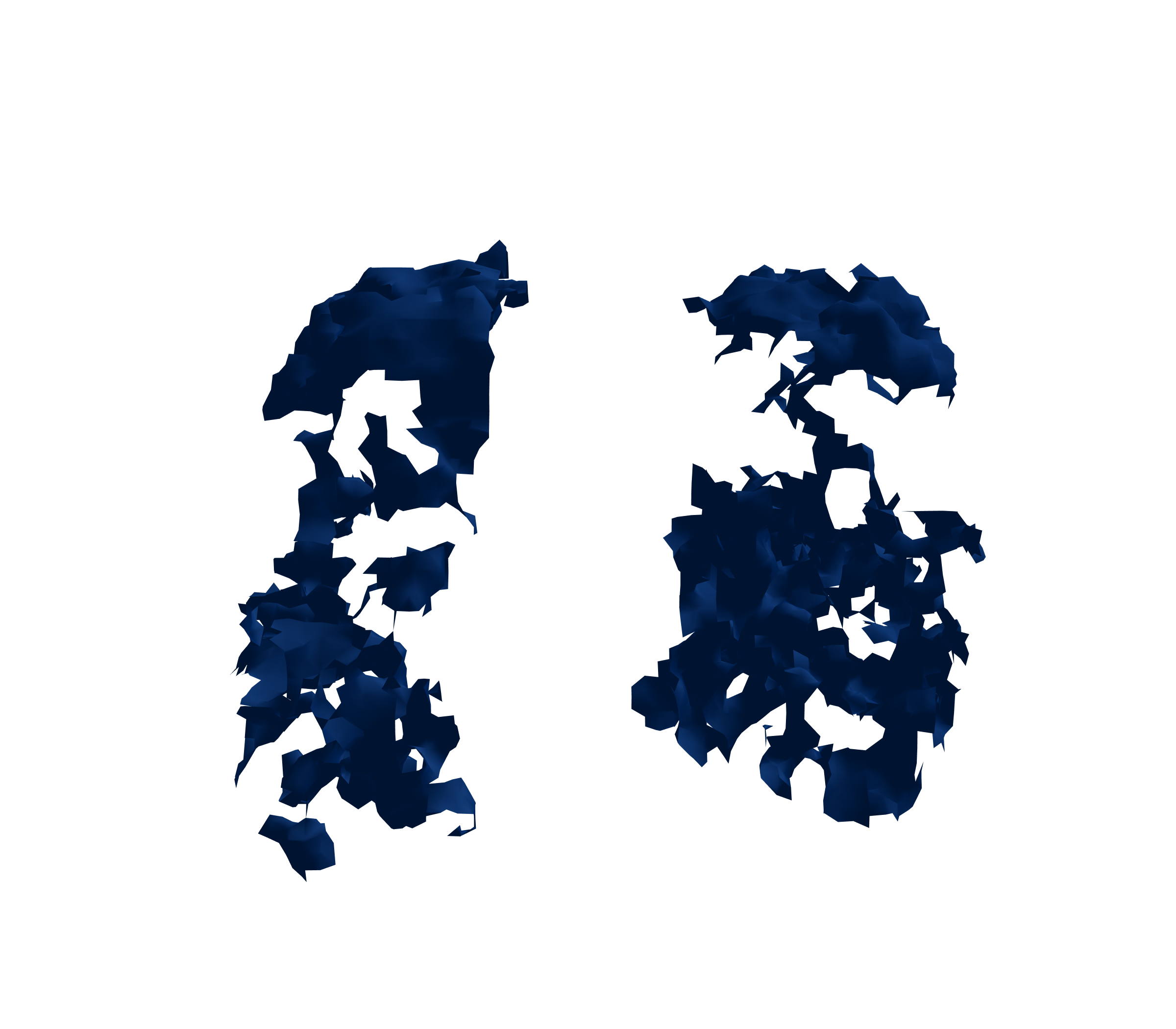 Surface Mesh (Inspiration) - Front View