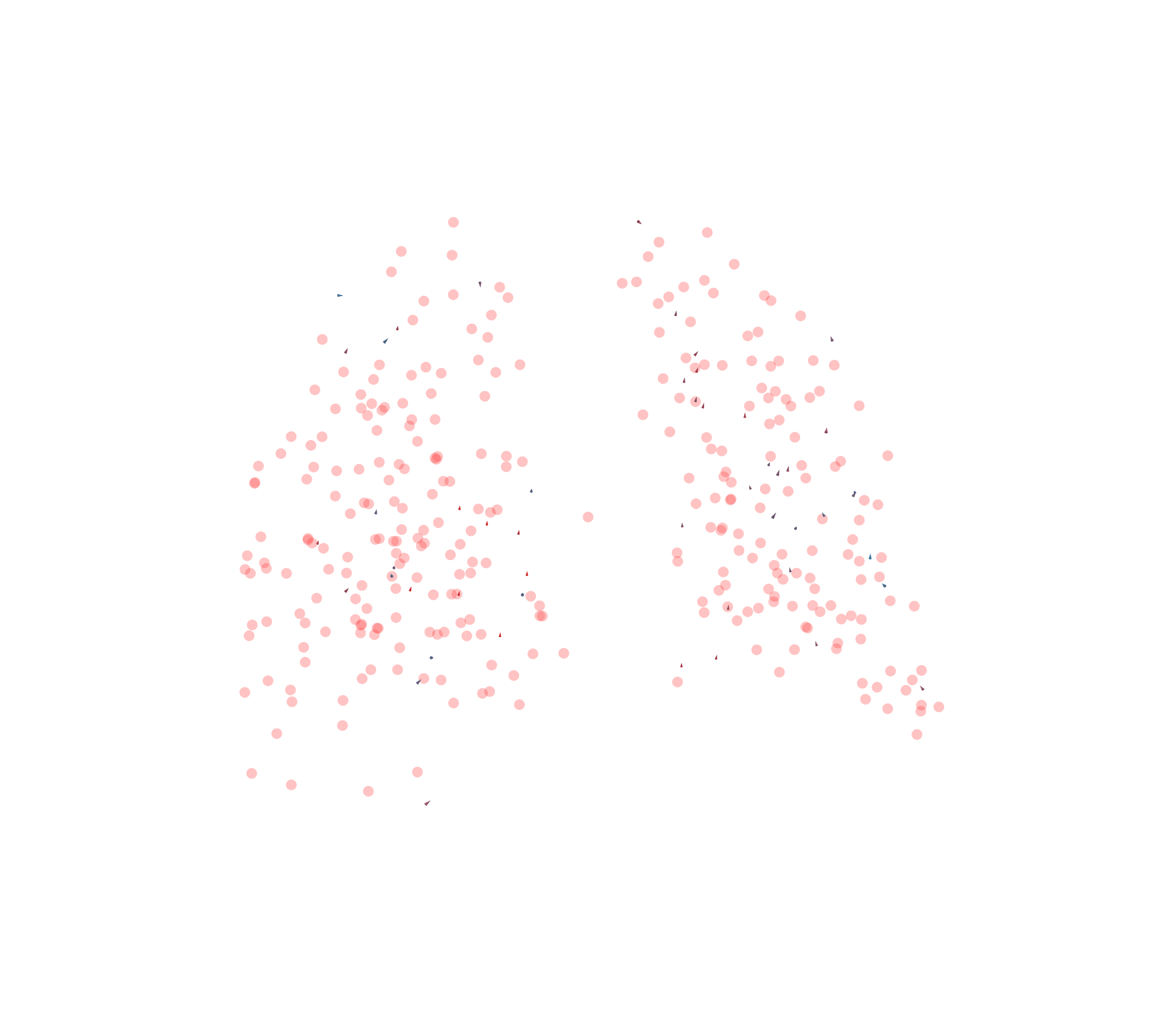 Displacement Vectors - Back View