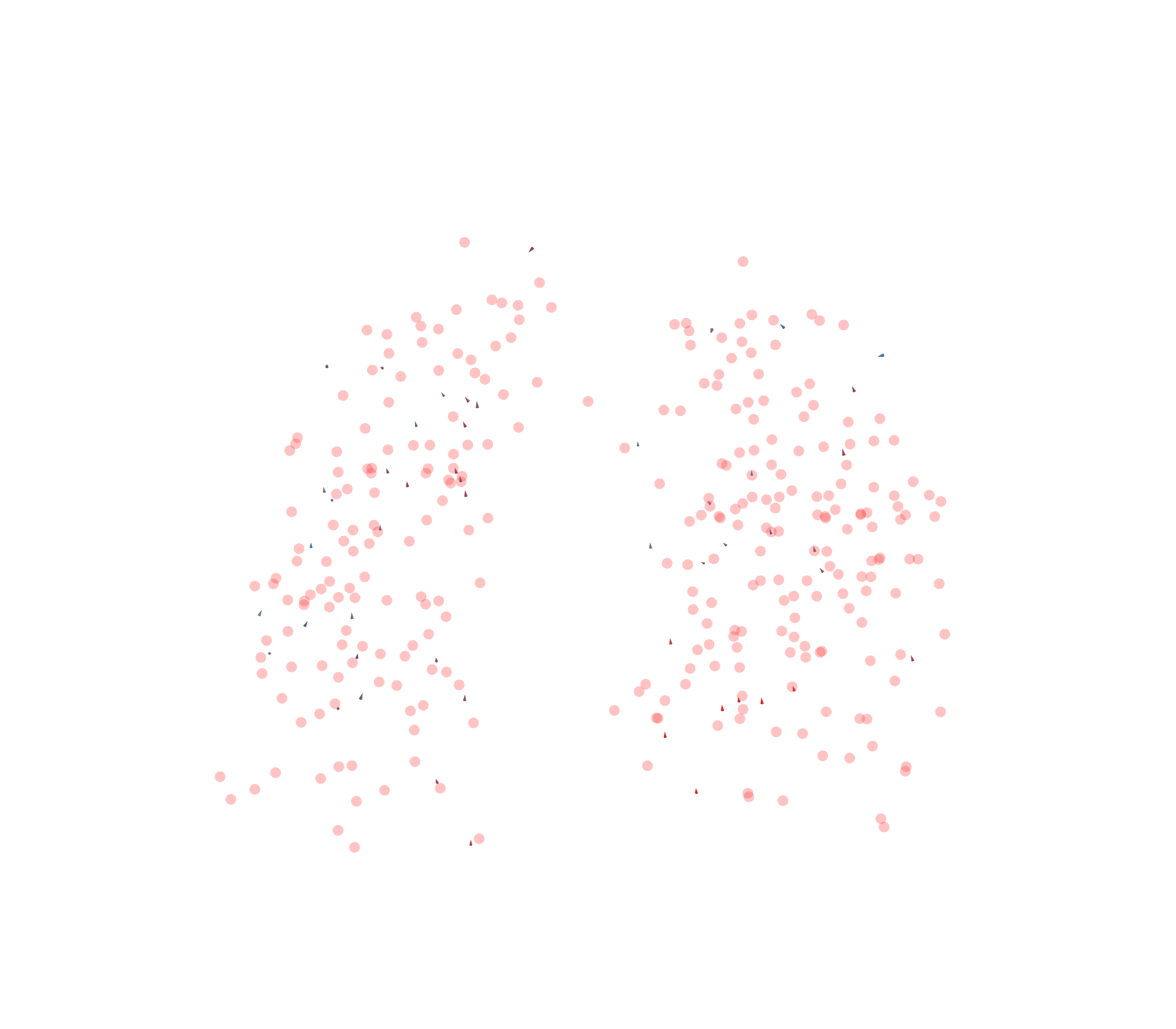 Displacement Vectors - Front View