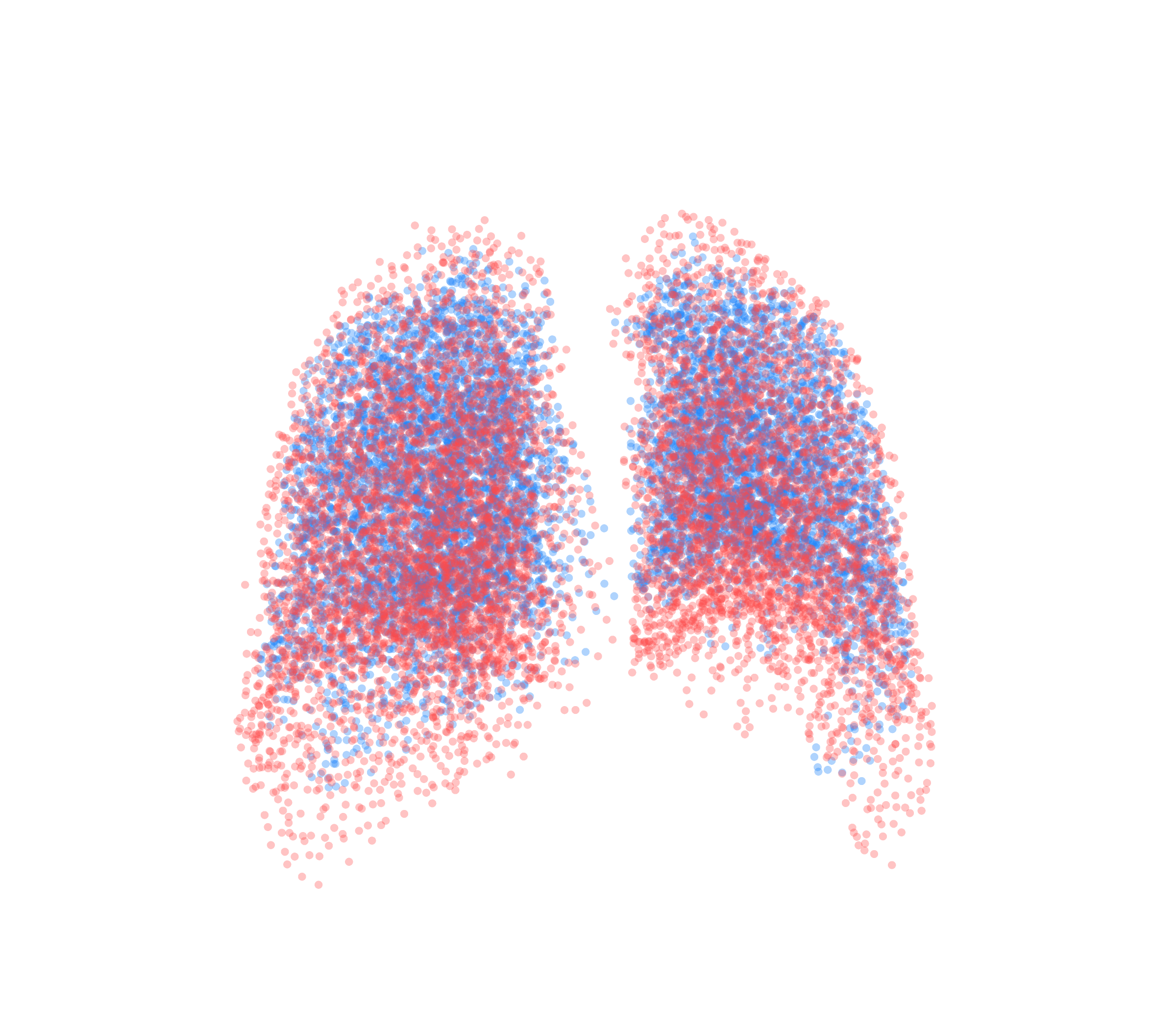 Point Cloud - Back View
