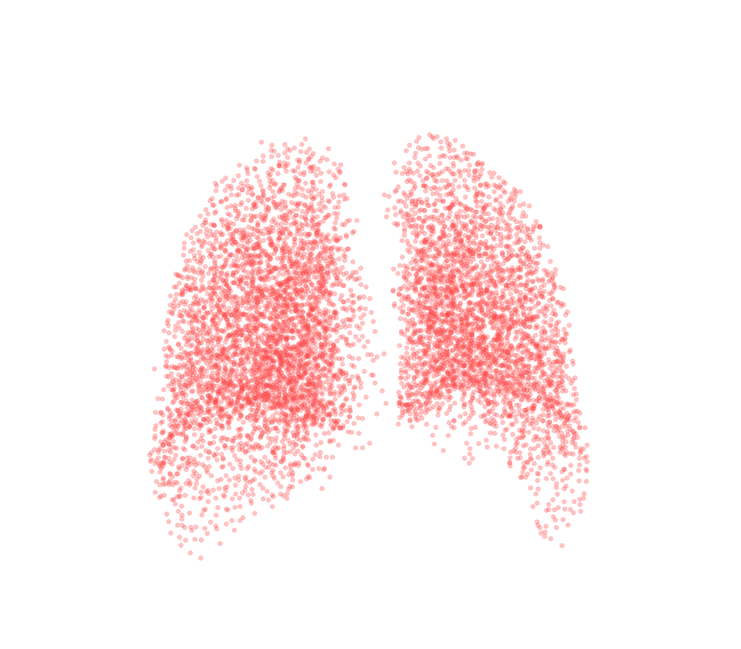 Point Cloud (Expiration) - Back View