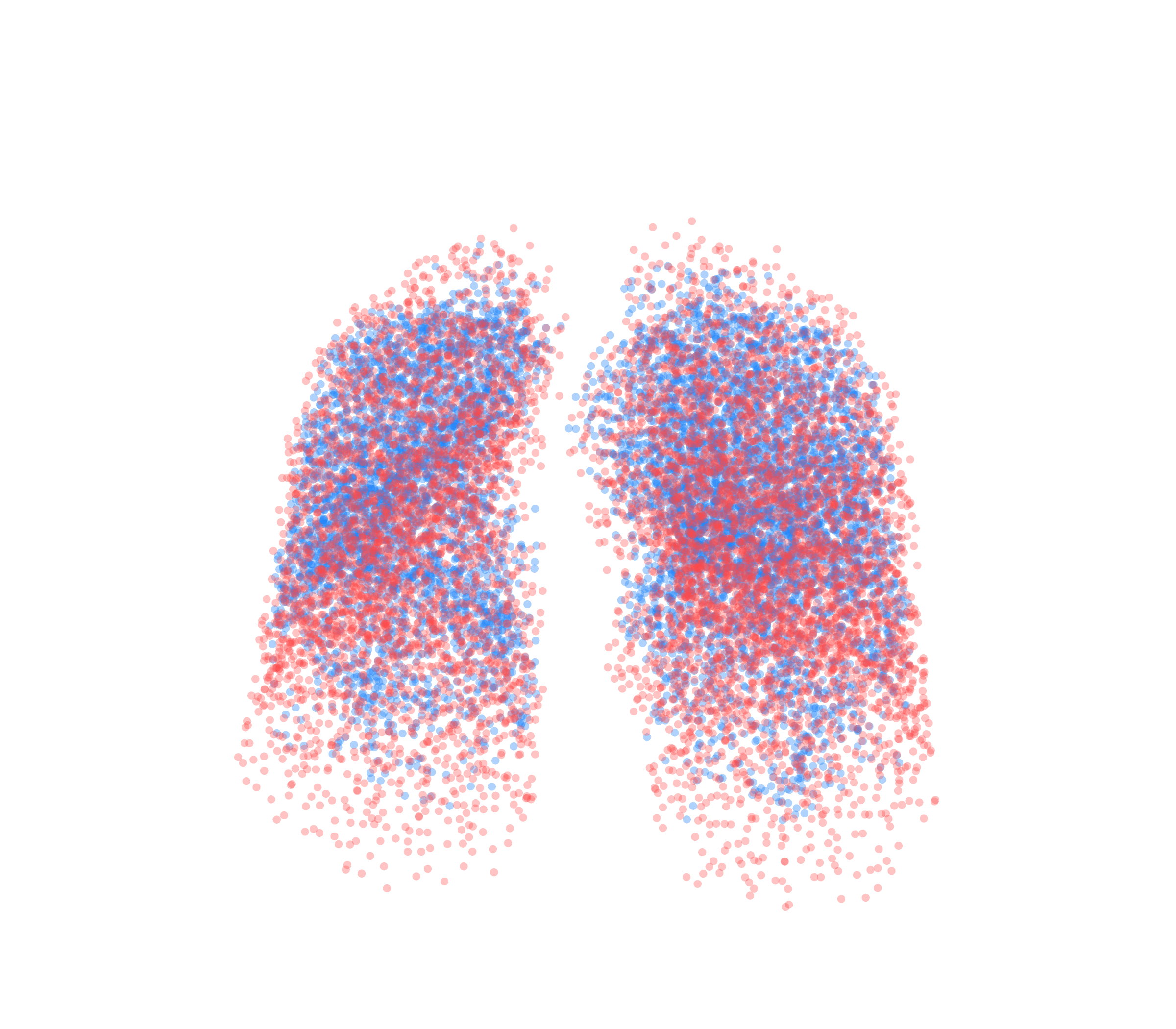 Point Cloud - Front View
