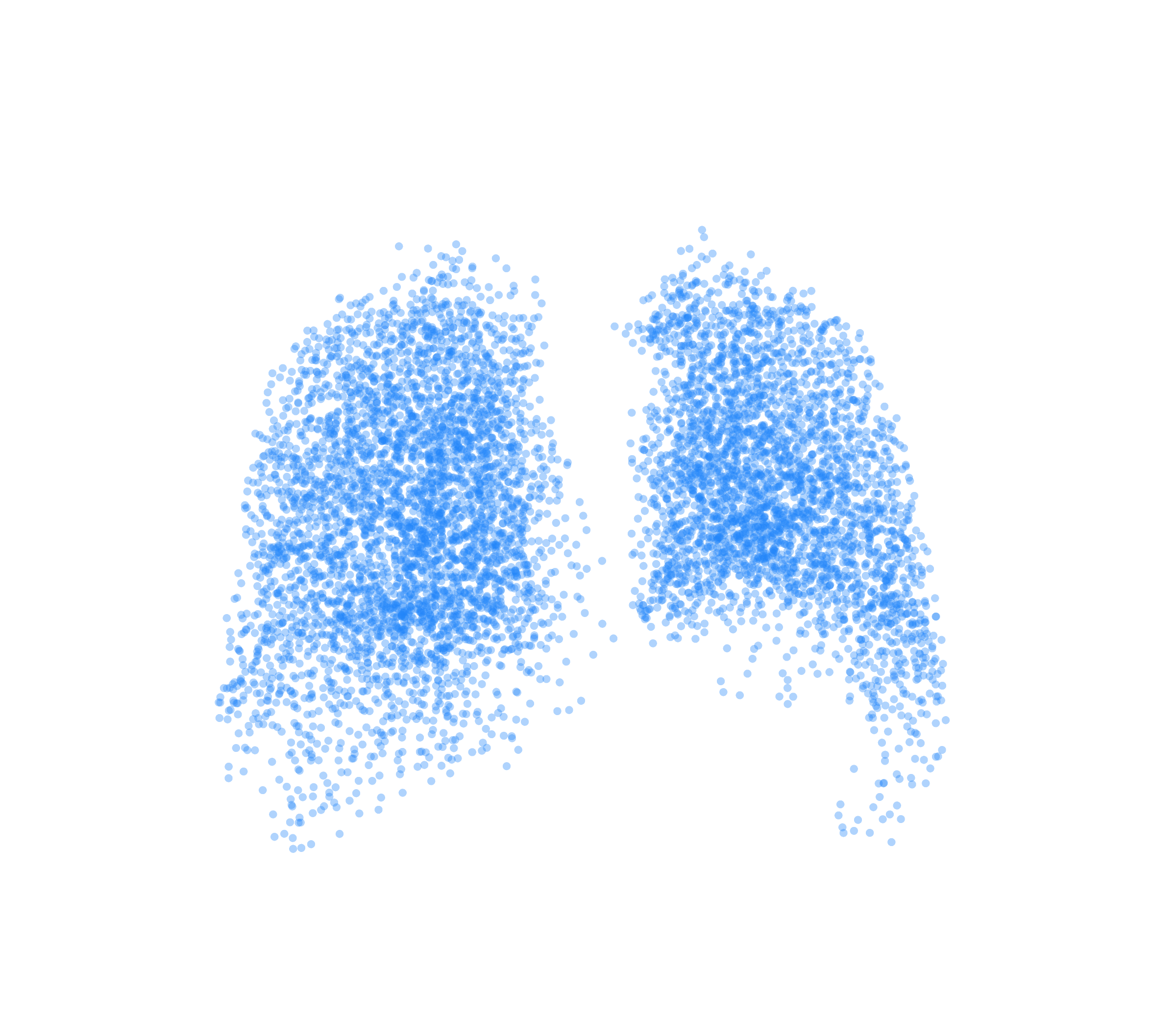 Point Cloud (Inspiration) - Back View