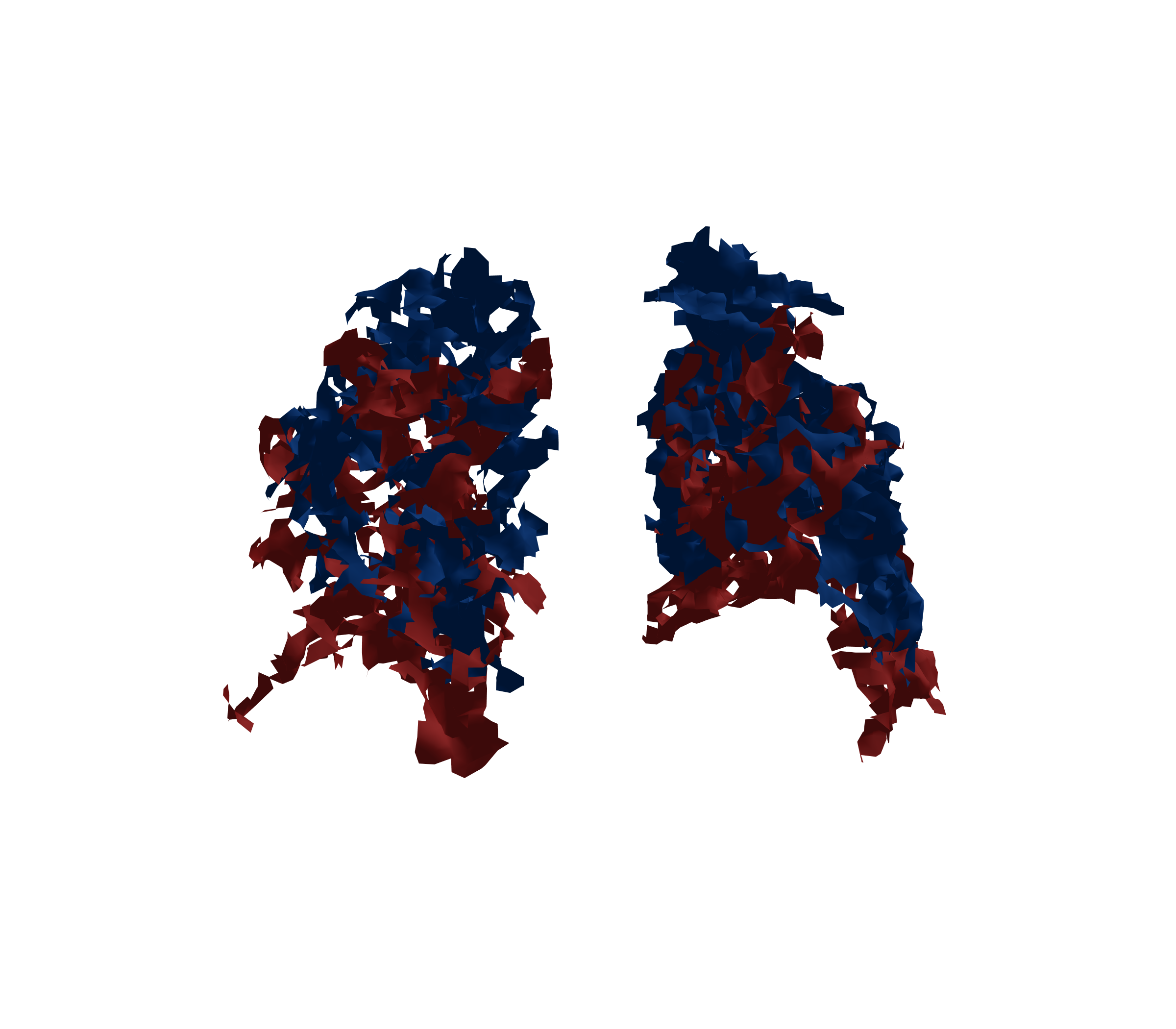 Surface Mesh - Back View