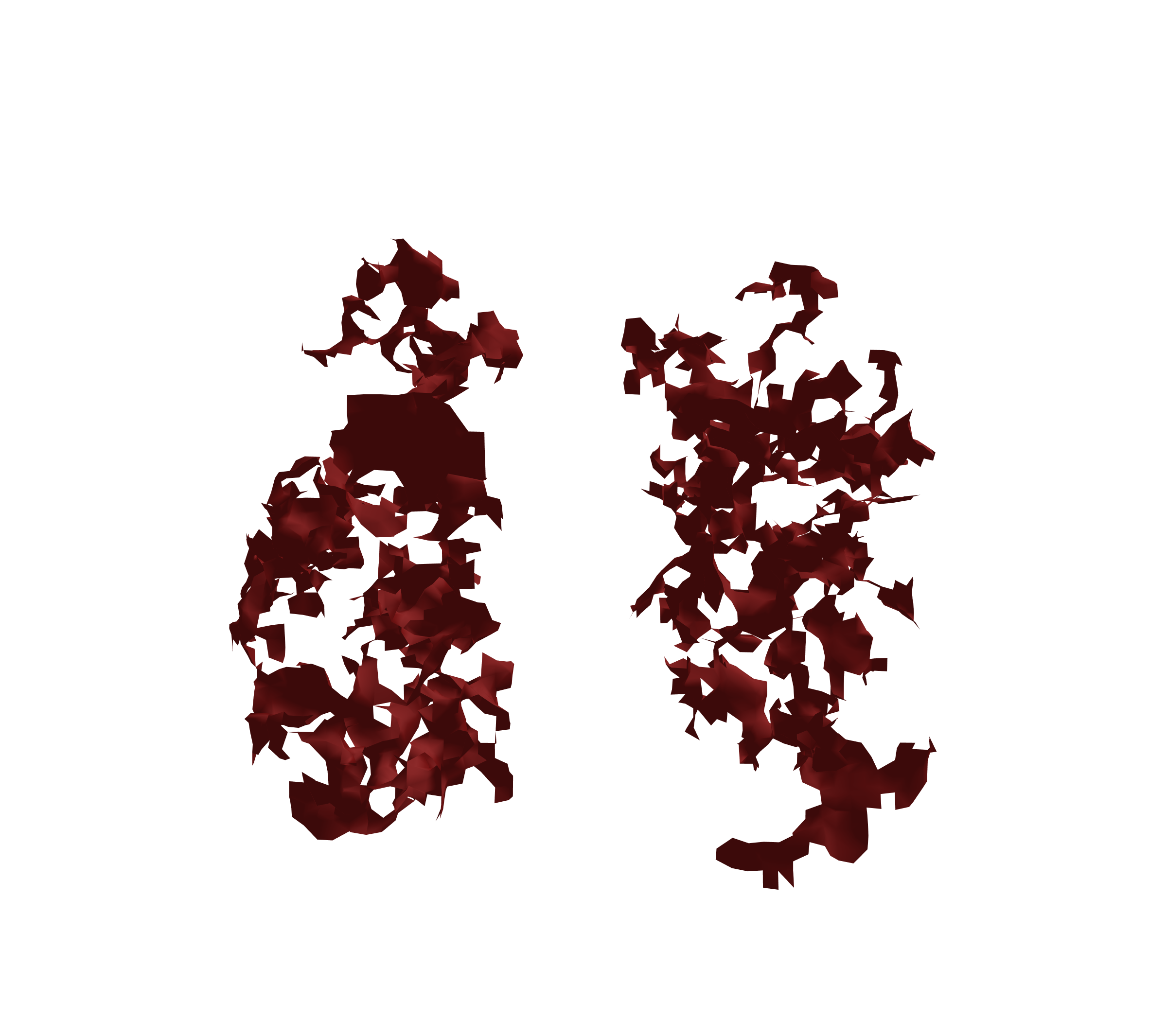 Surface Mesh (Expiration) - Front View