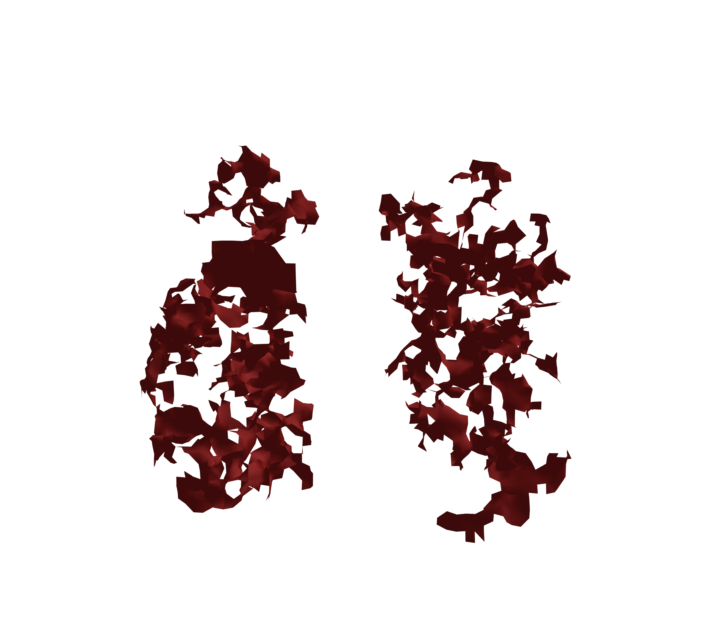 Surface Mesh (Expiration) - Front View