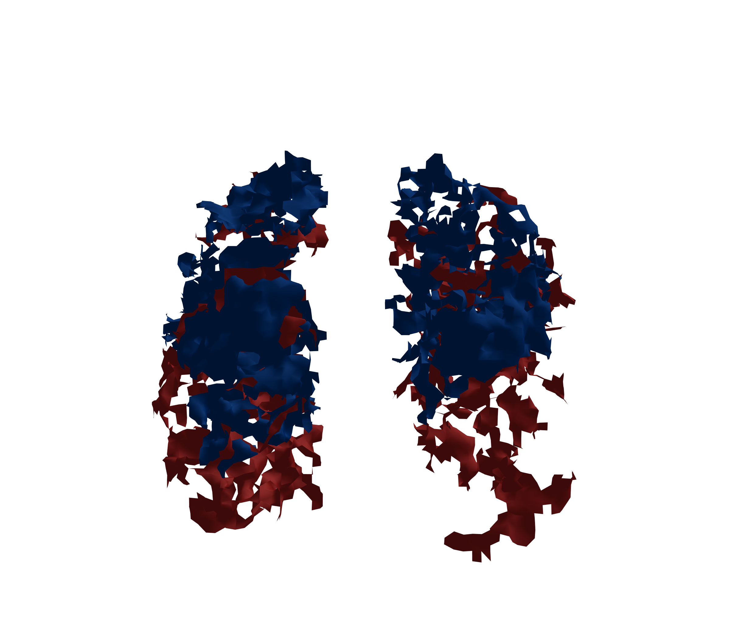 Surface Mesh - Front View