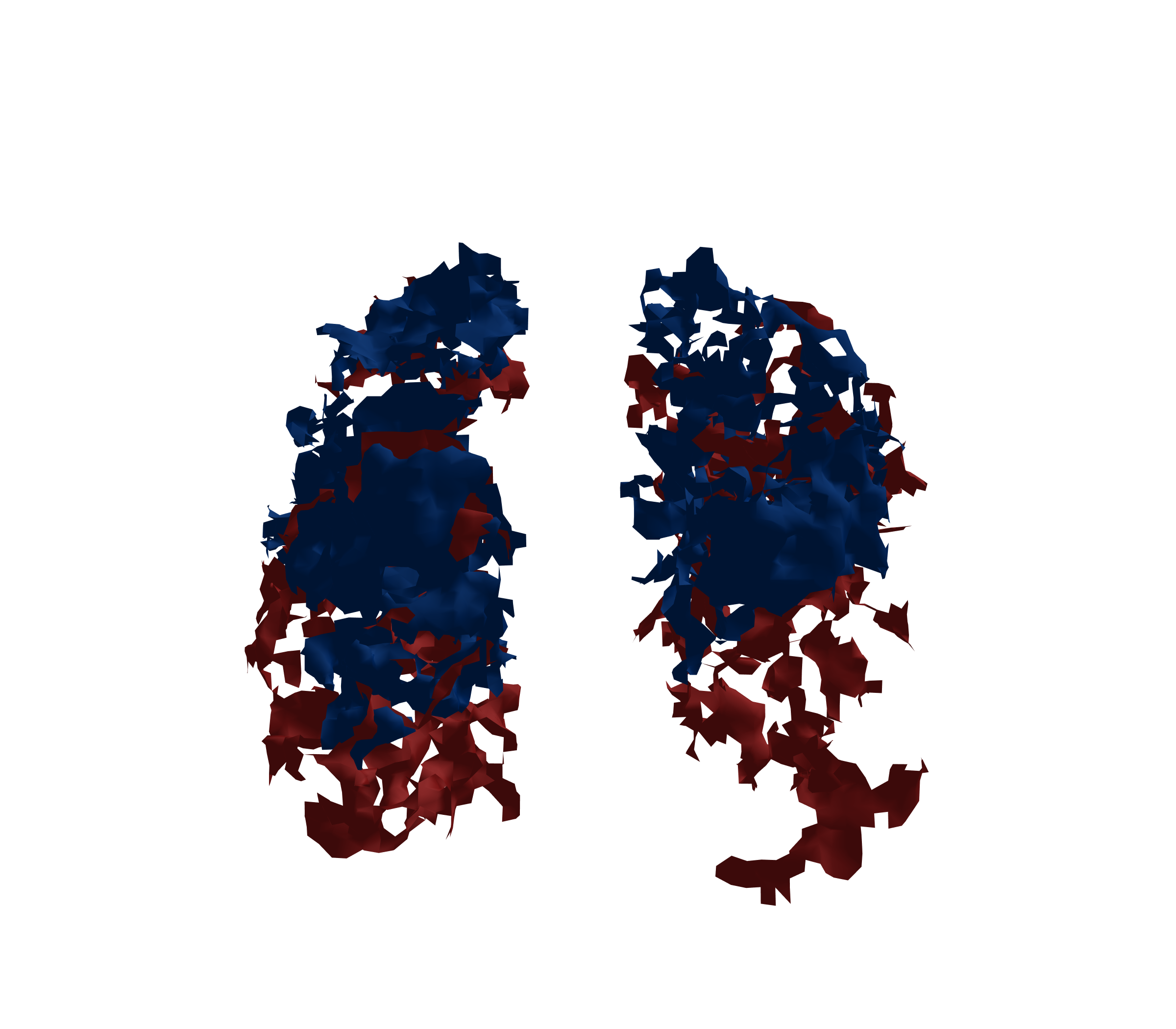 Surface Mesh - Front View