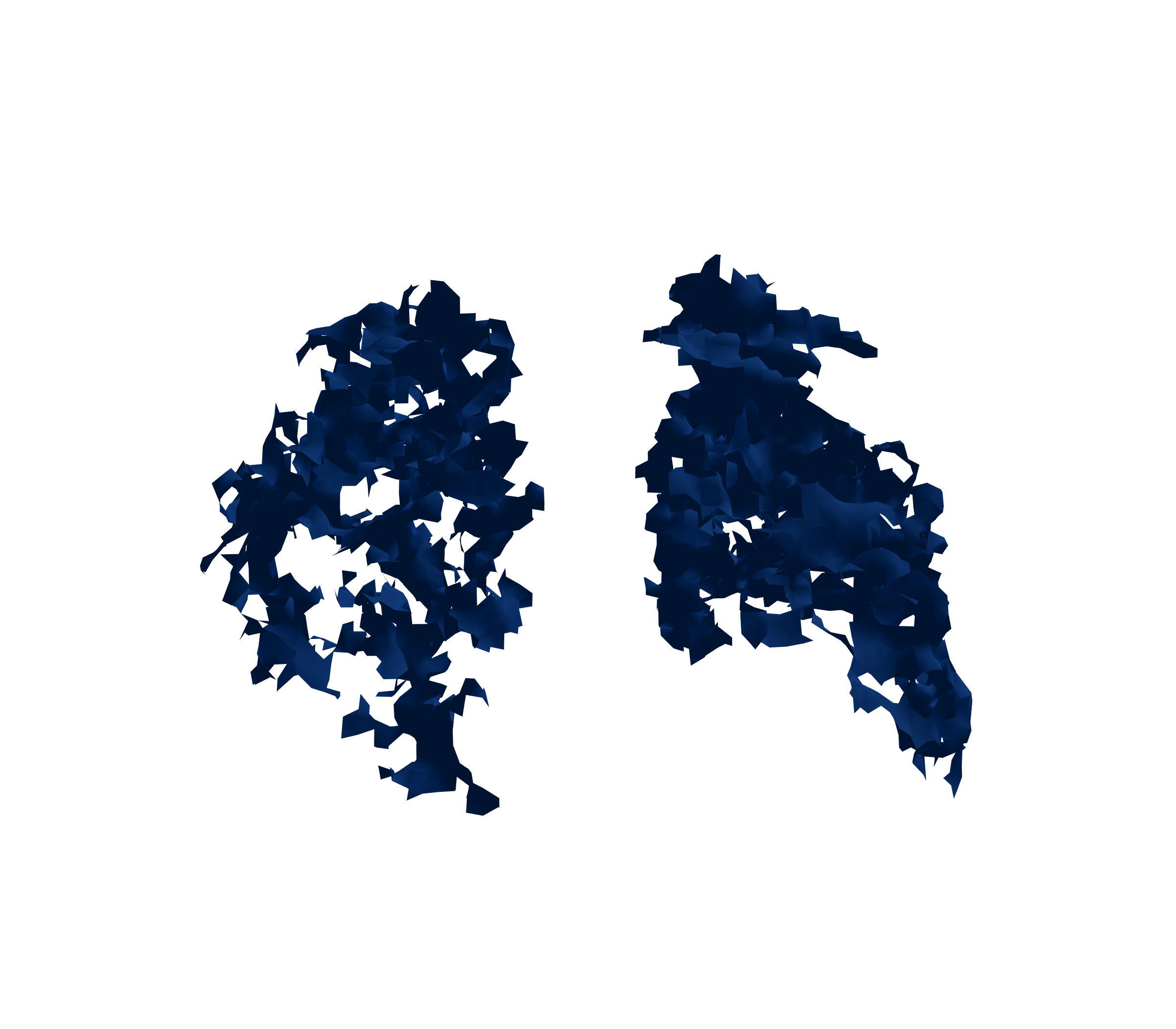 Surface Mesh (Inspiration) - Back View