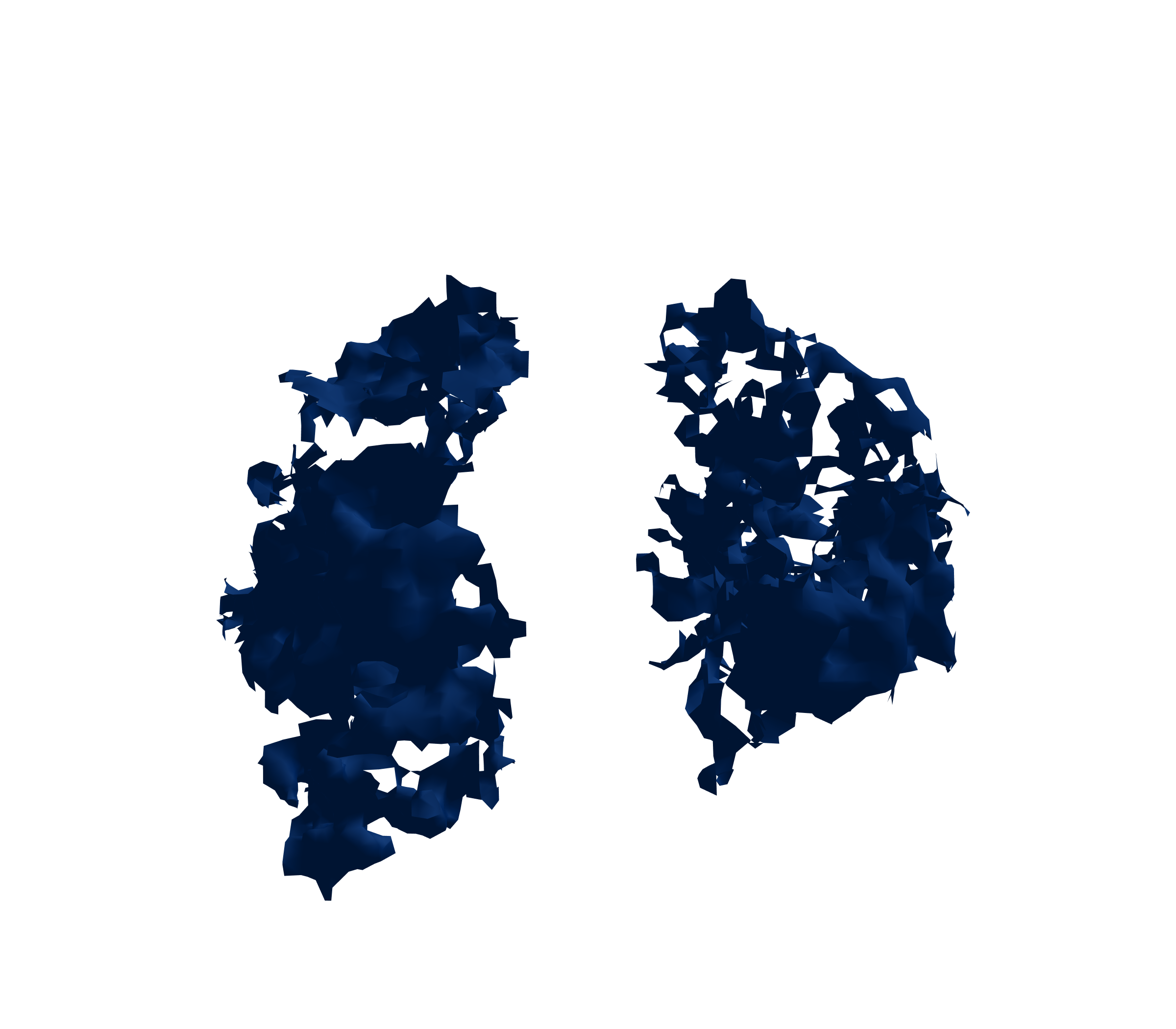 Surface Mesh (Inspiration) - Front View