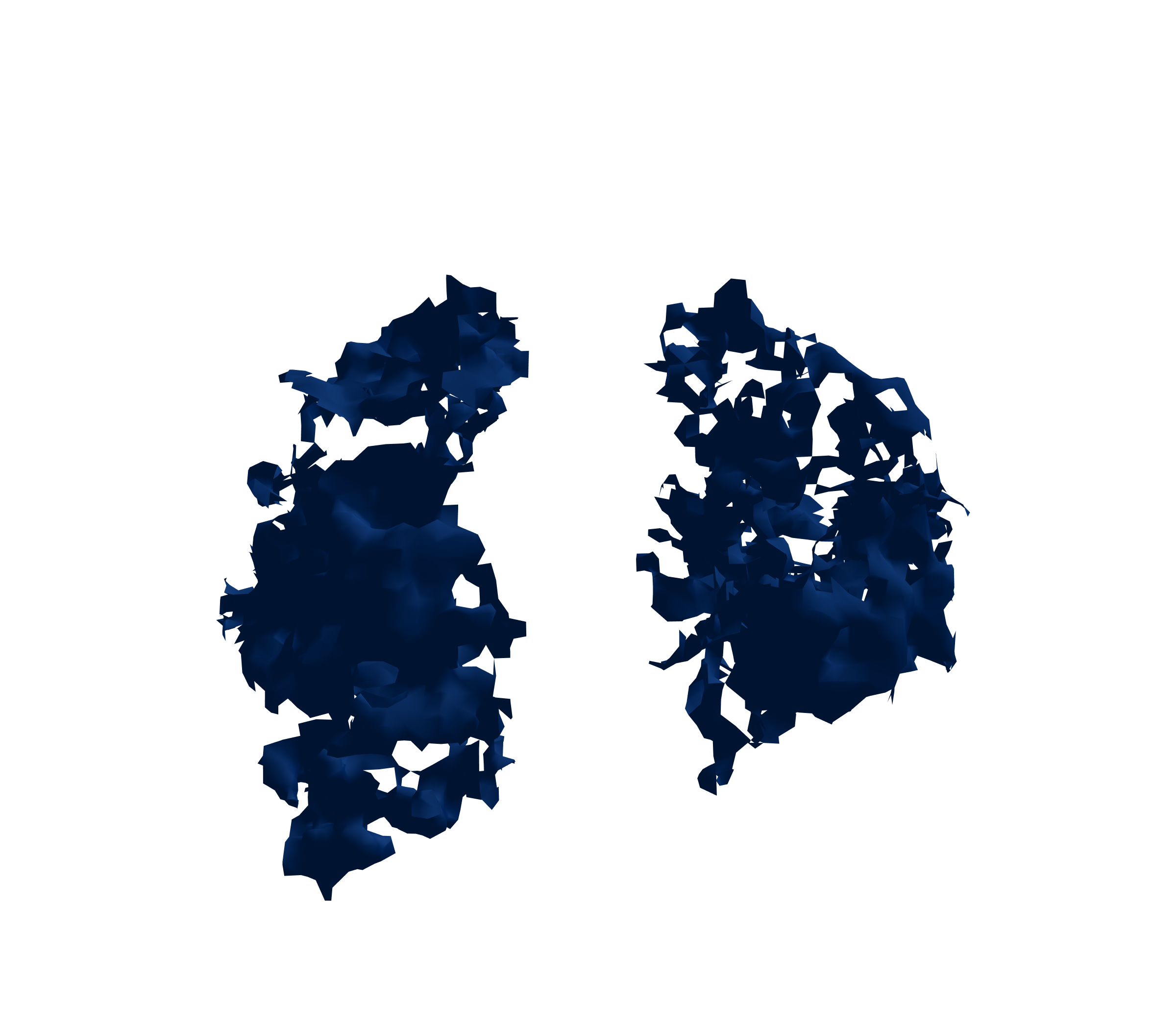 Surface Mesh (Inspiration) - Front View