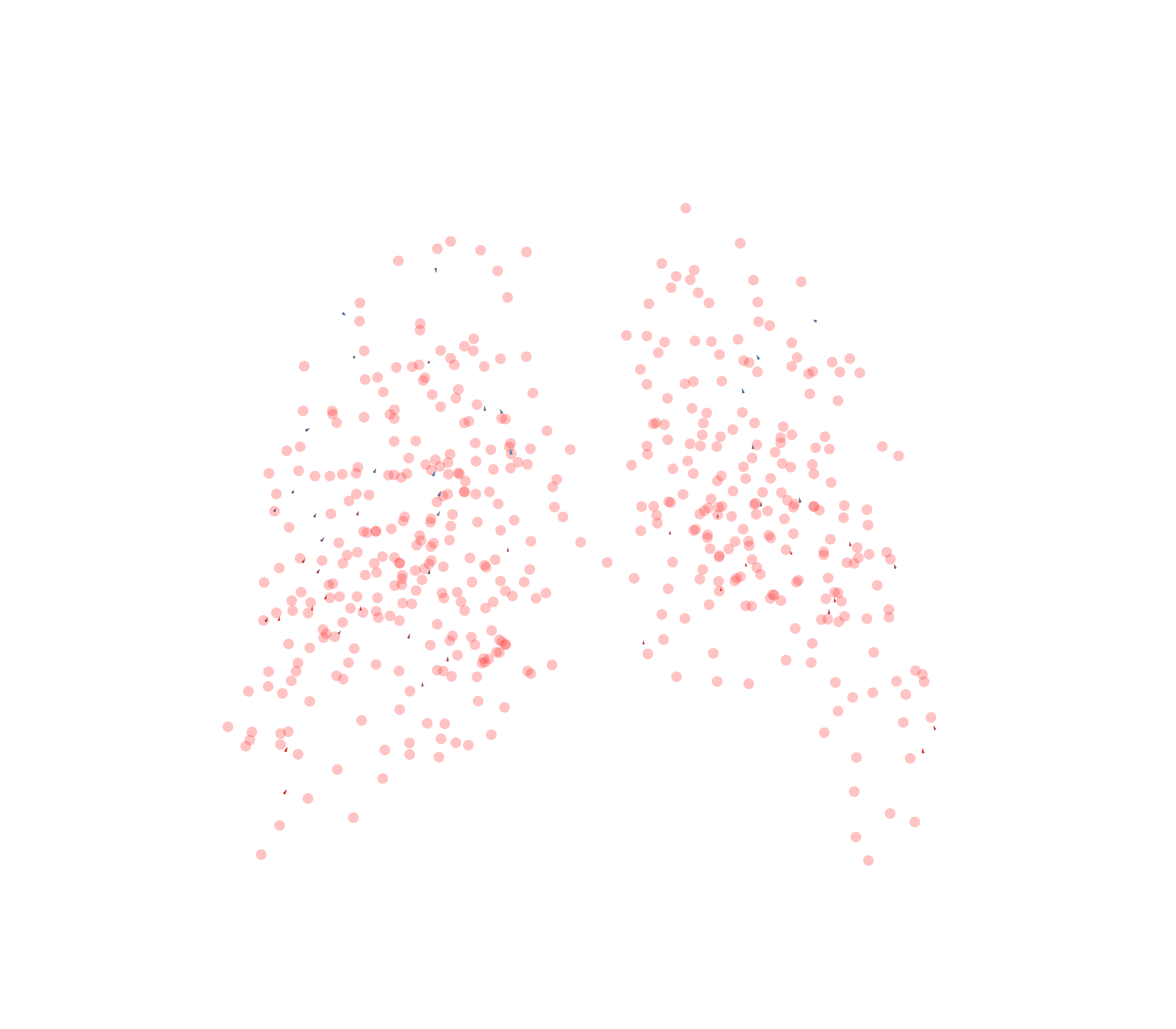 Displacement Vectors - Back View