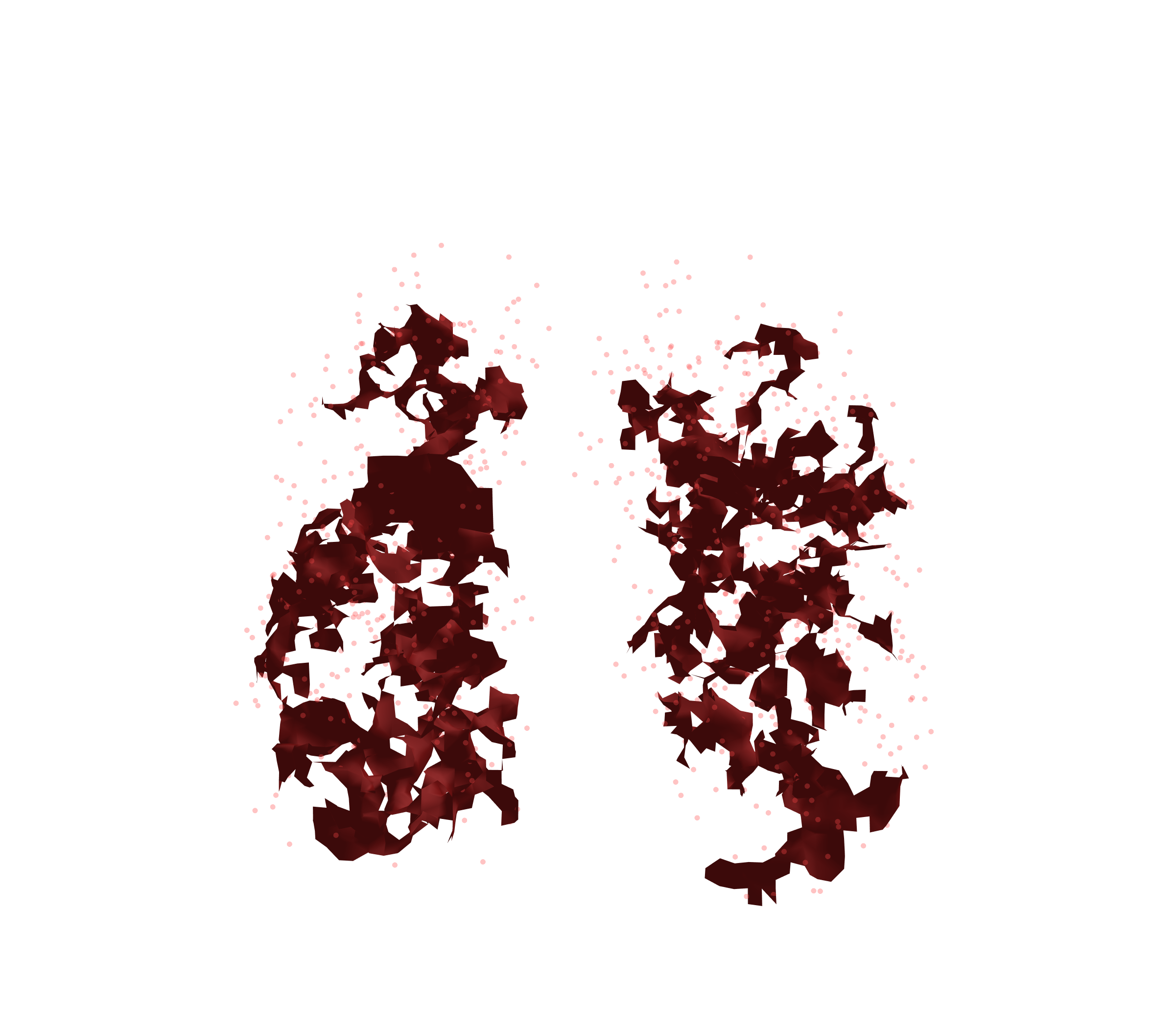 Combined Visualization (Expiration) - Front View