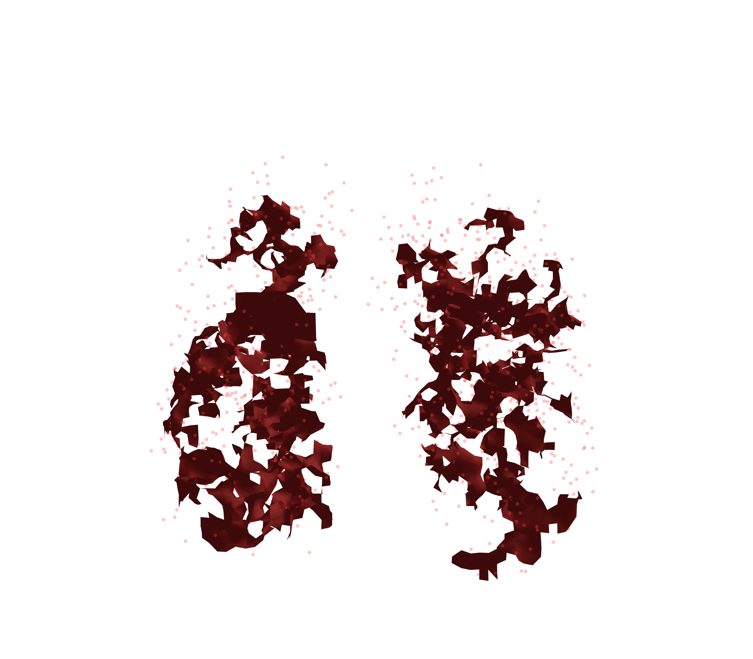 Combined Visualization (Expiration) - Front View