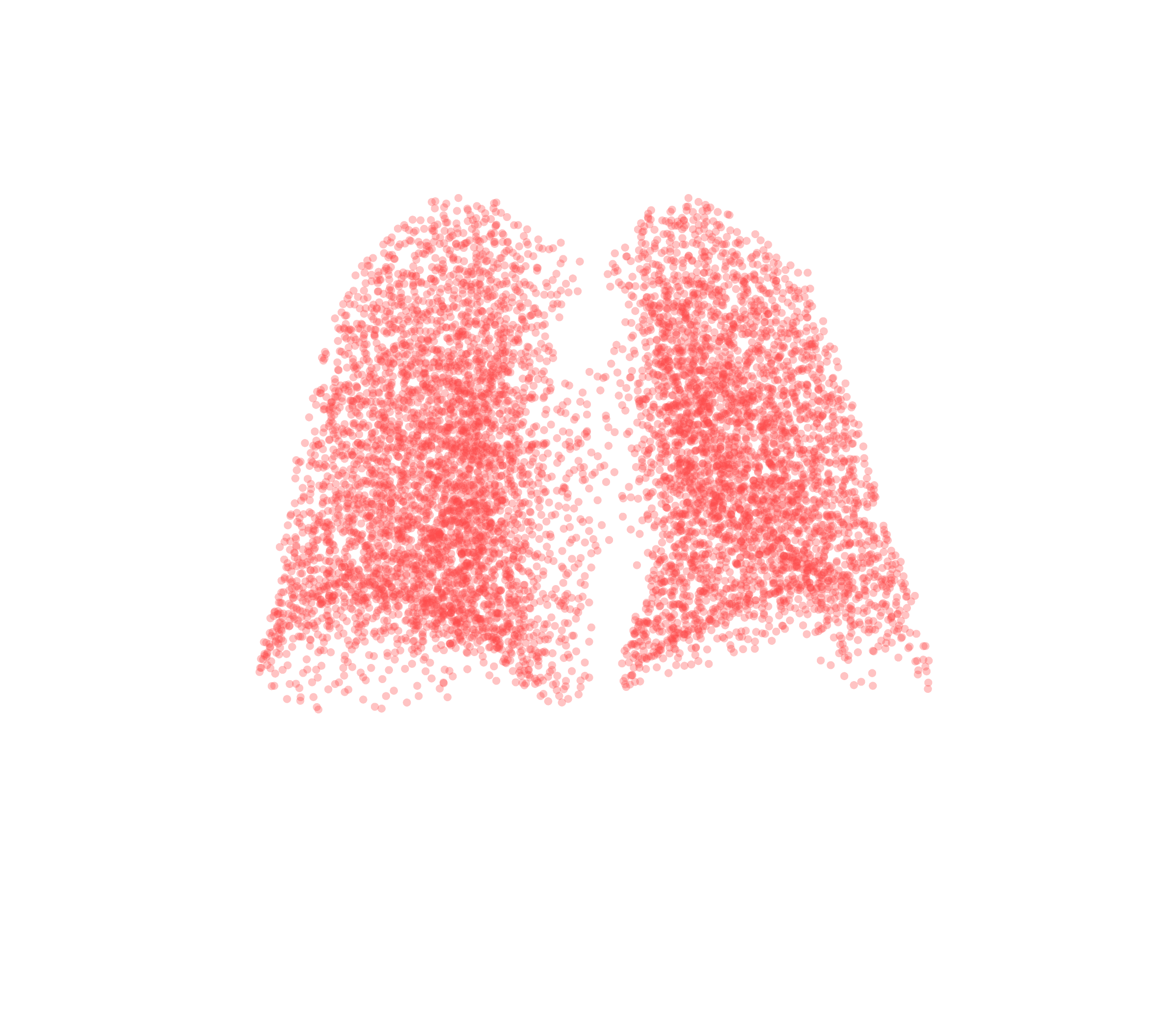 Point Cloud (Expiration) - Back View