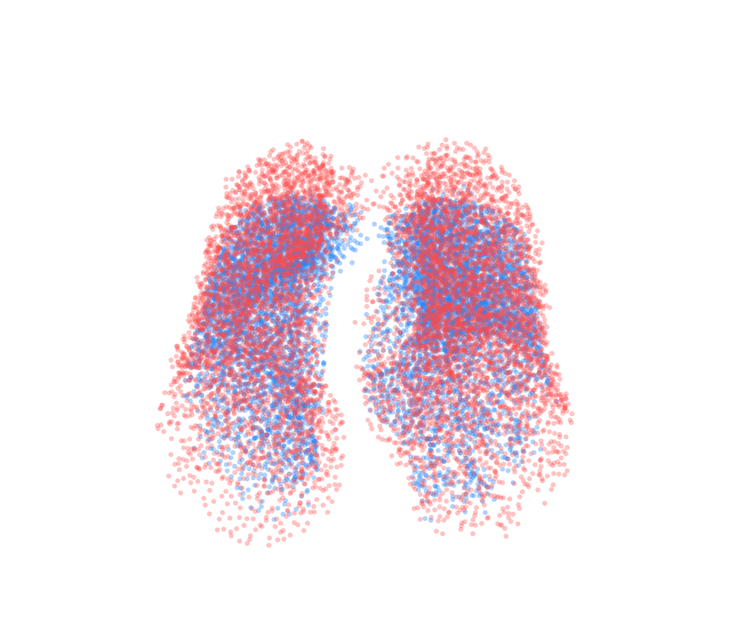 Point Cloud - Front View