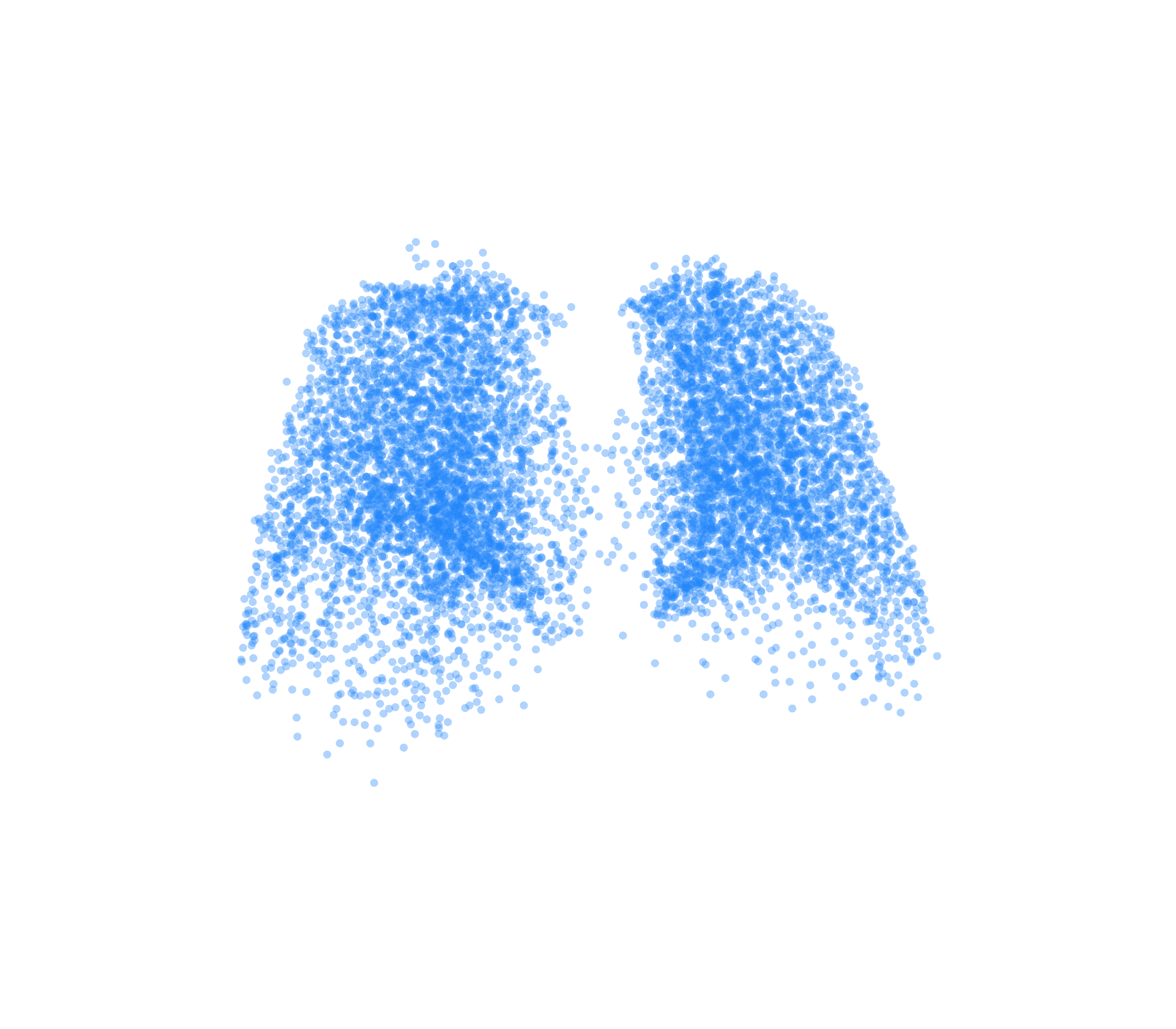 Point Cloud (Inspiration) - Back View