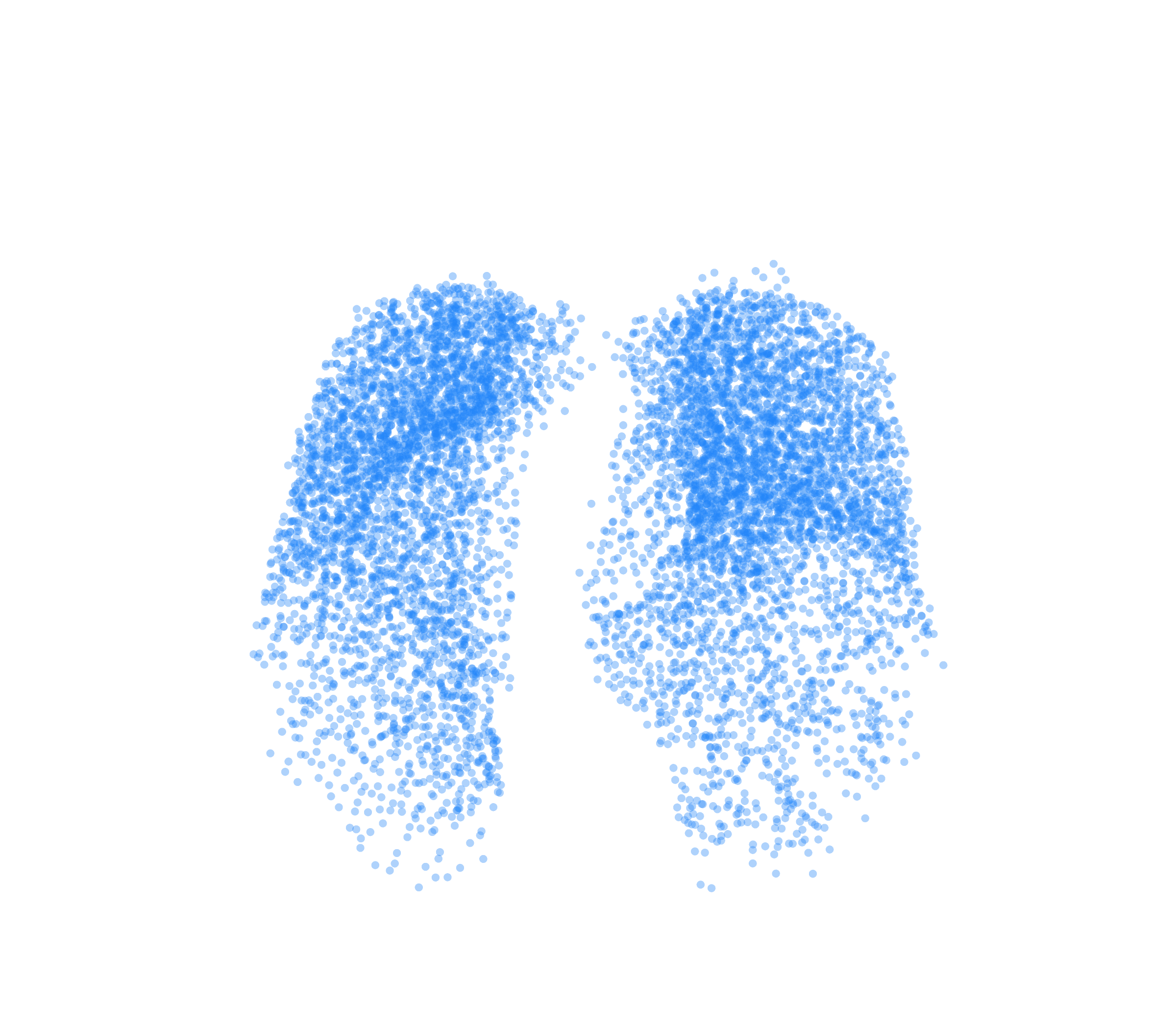 Point Cloud (Inspiration) - Front View
