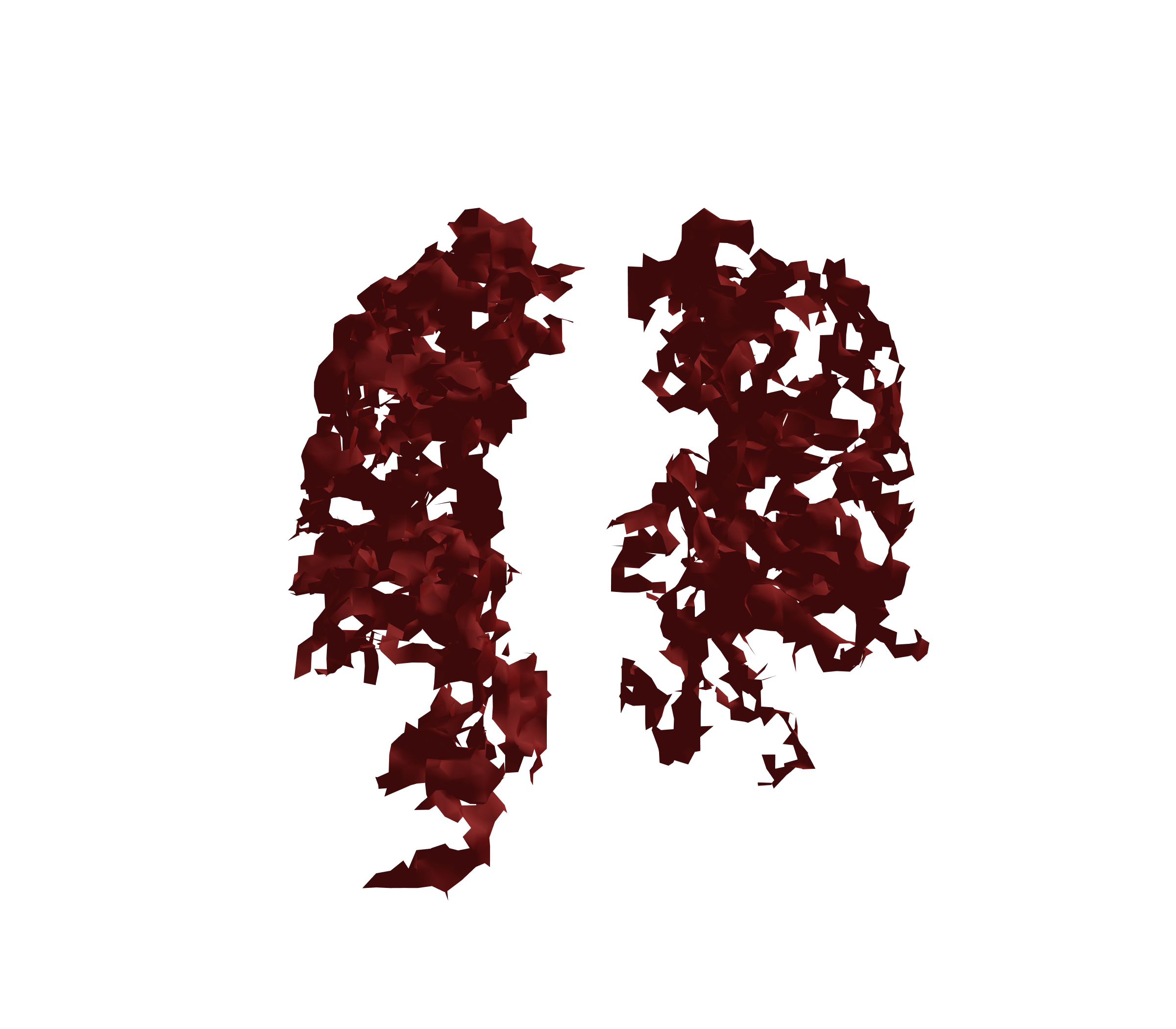 Surface Mesh (Expiration) - Front View